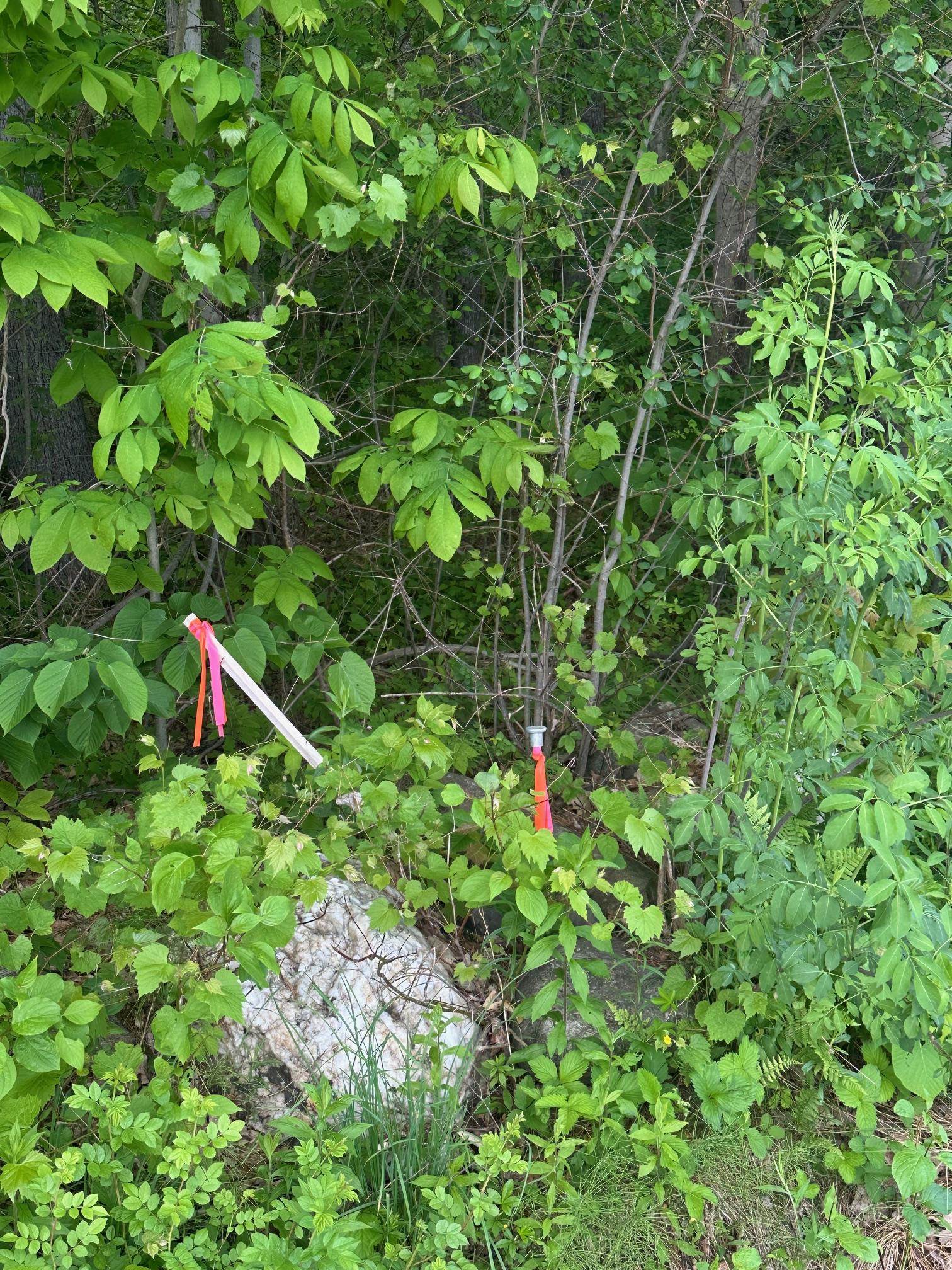 Boundary marker on the road