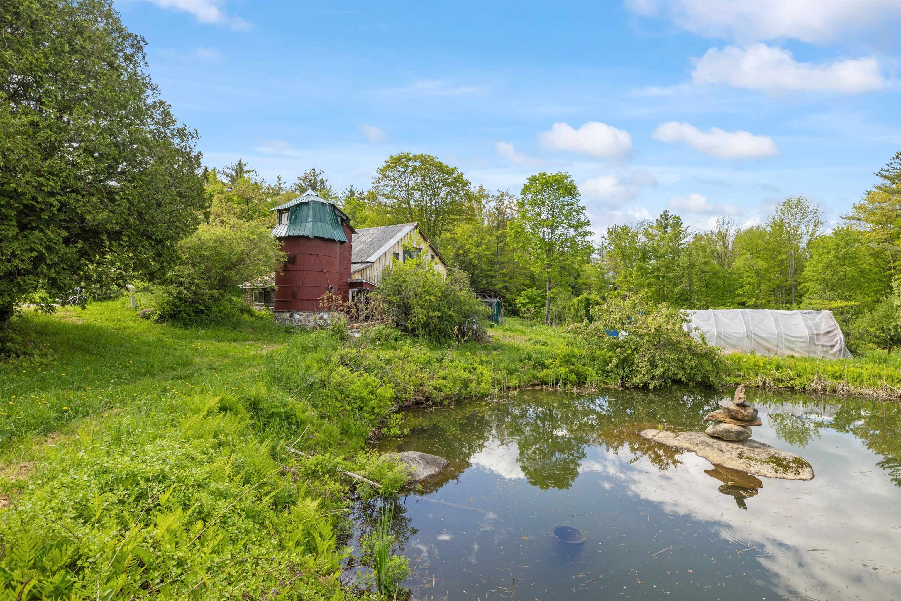 Pond 1