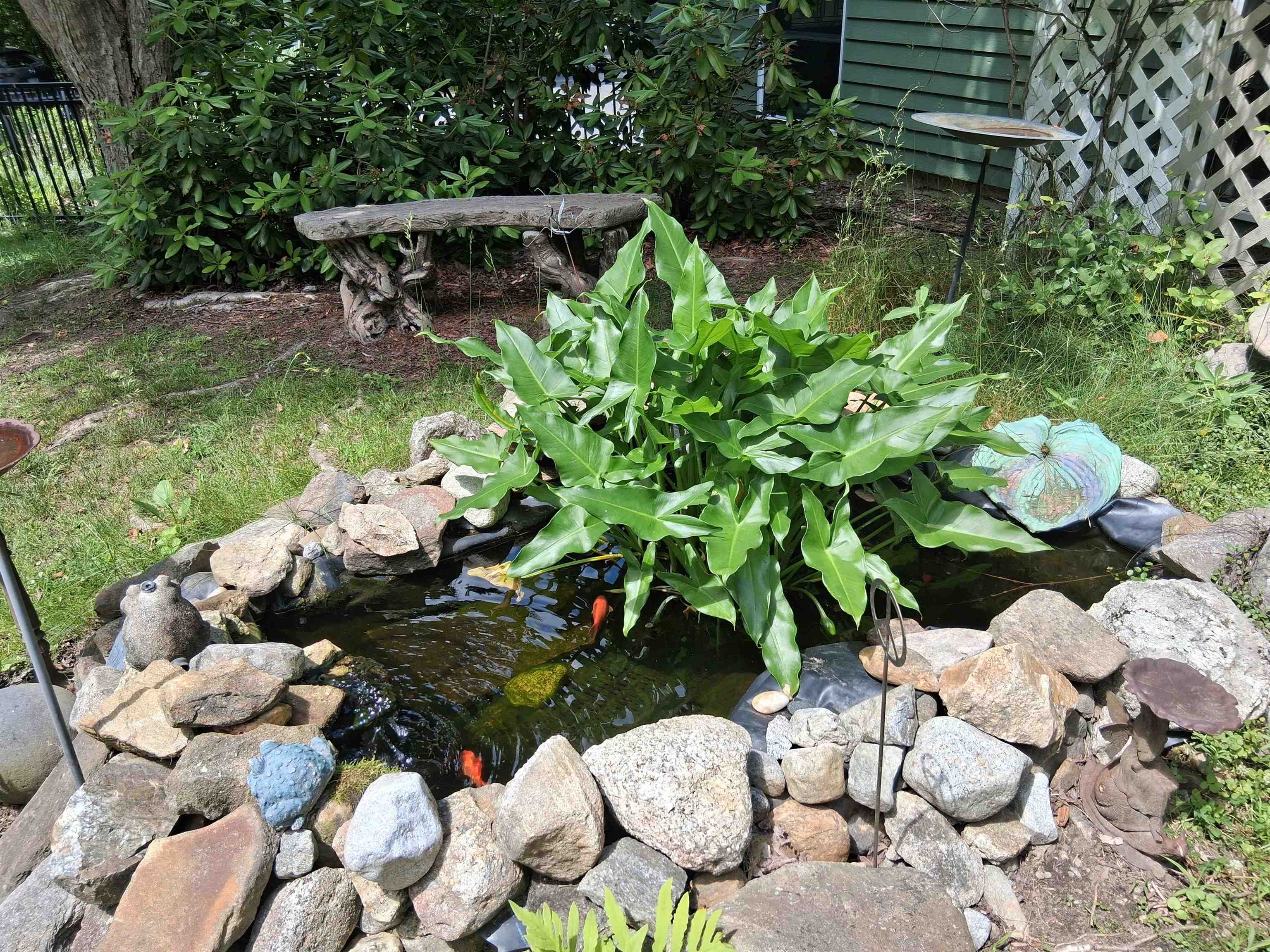 MLS #5044178 image #26