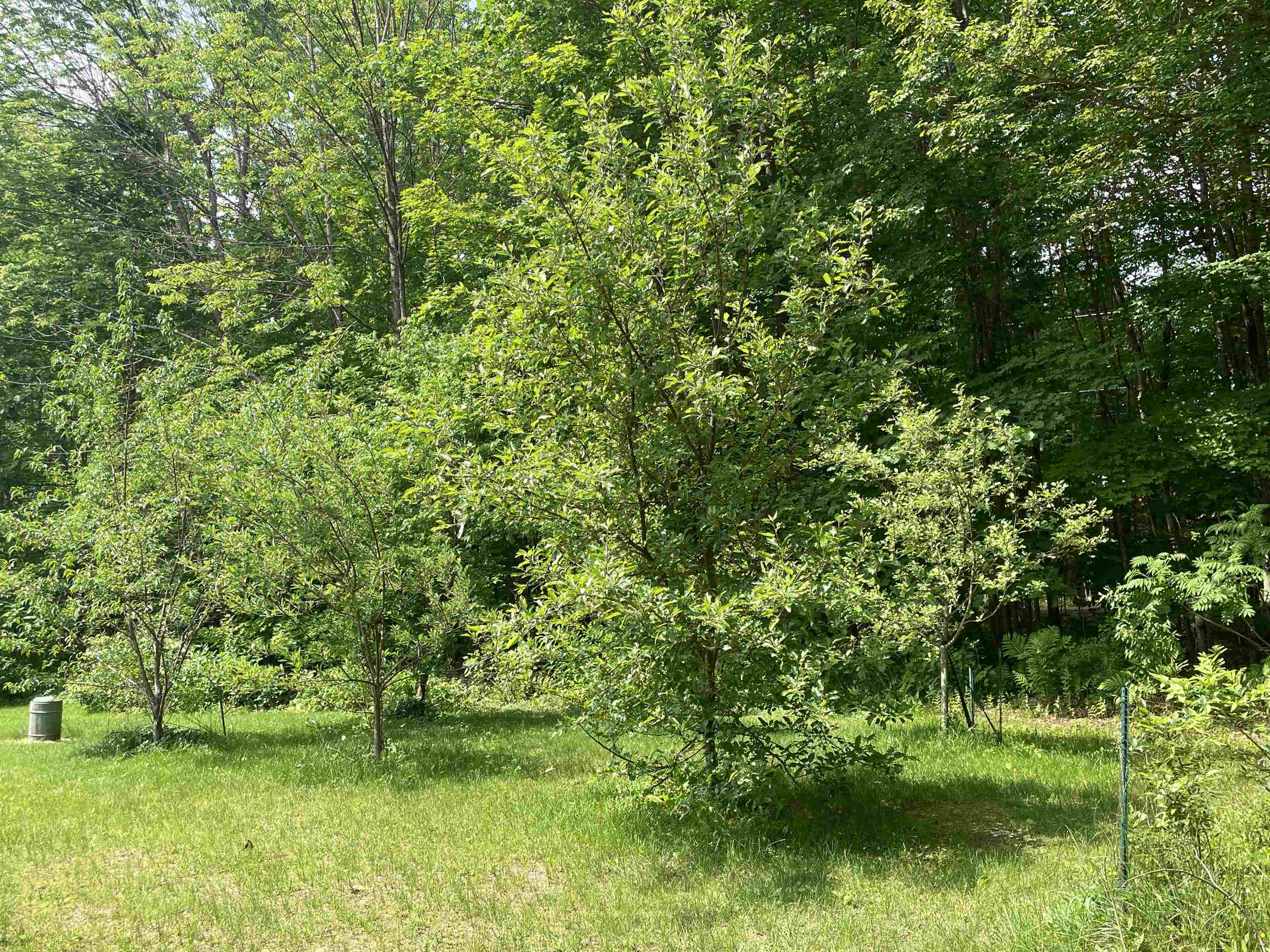 MLS #5045165 image #13