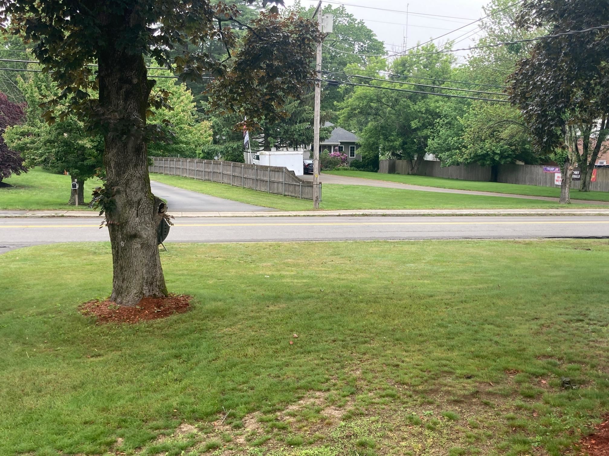 Photo 56 of 56