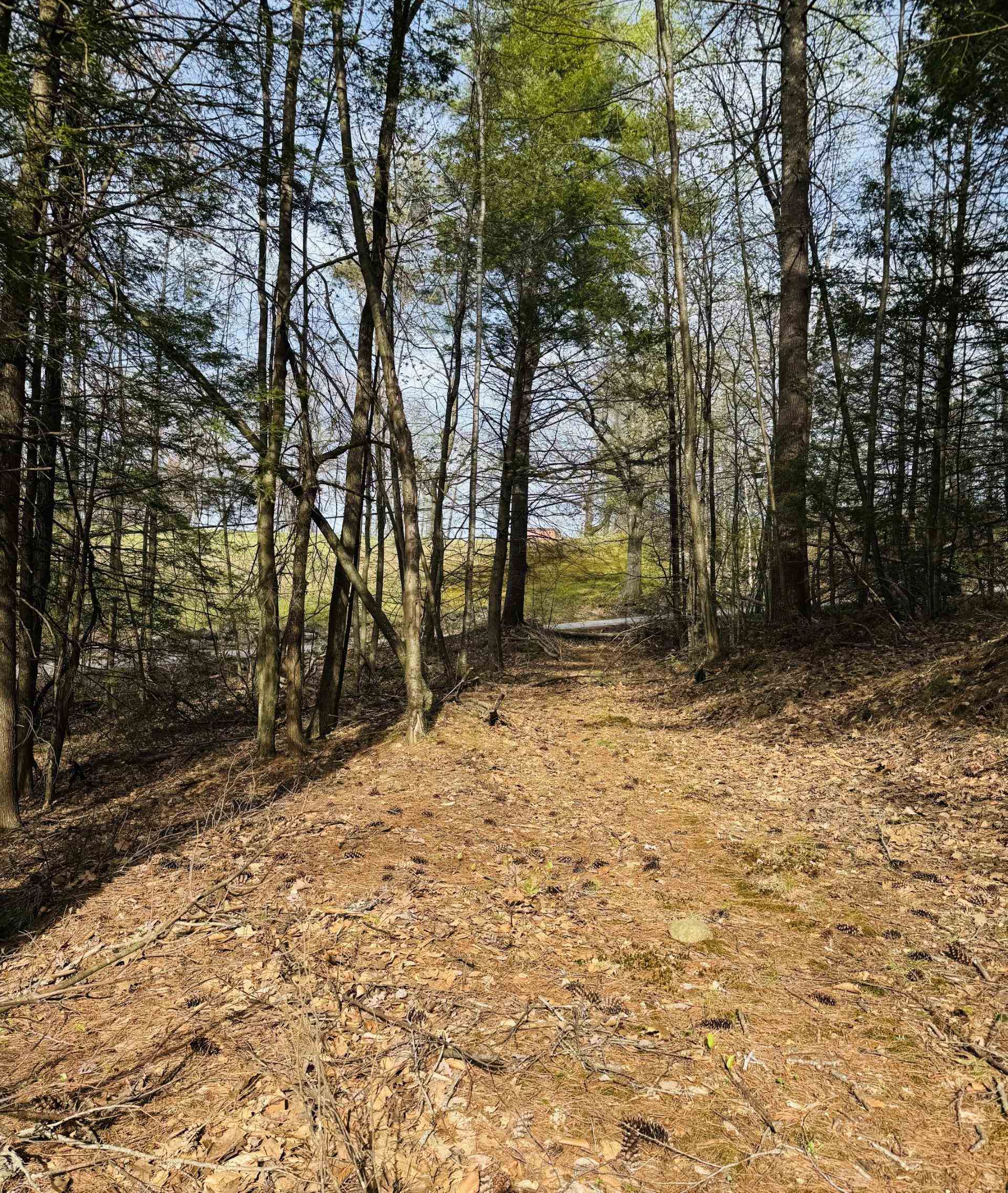 Photo of Lot F-84 McGettigan Road Wilton NH 03086