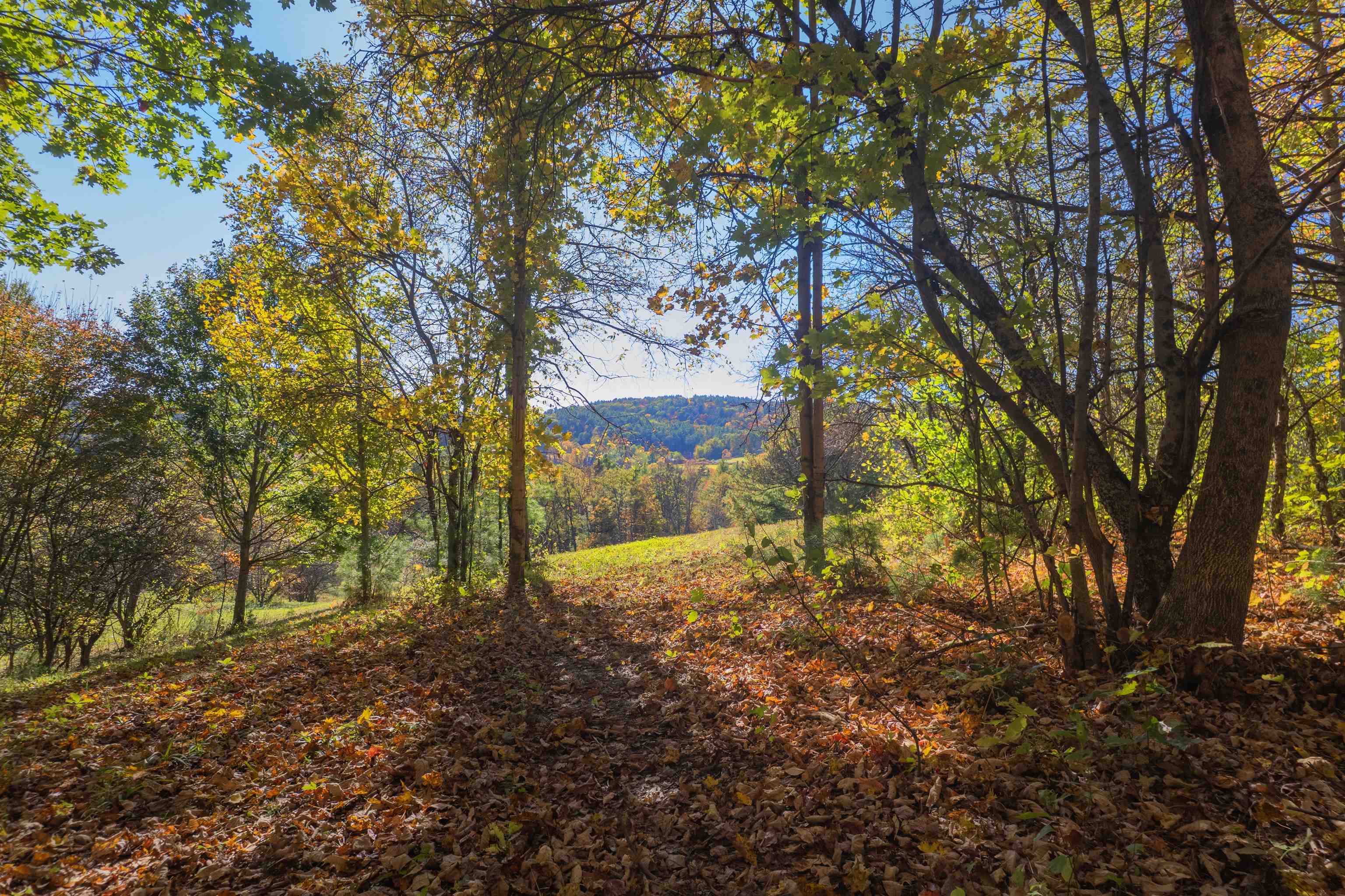 Norwich VT Land for sale $998,000 | 9.01 Acres  | Price Per Acre $0  | Total Lots 2