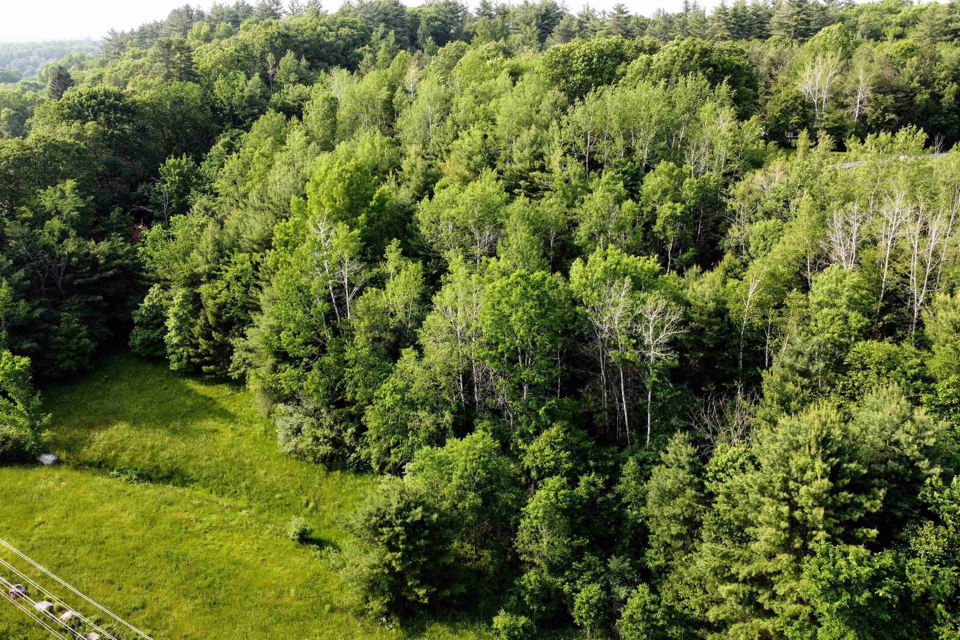 MLS #5045732 image #17