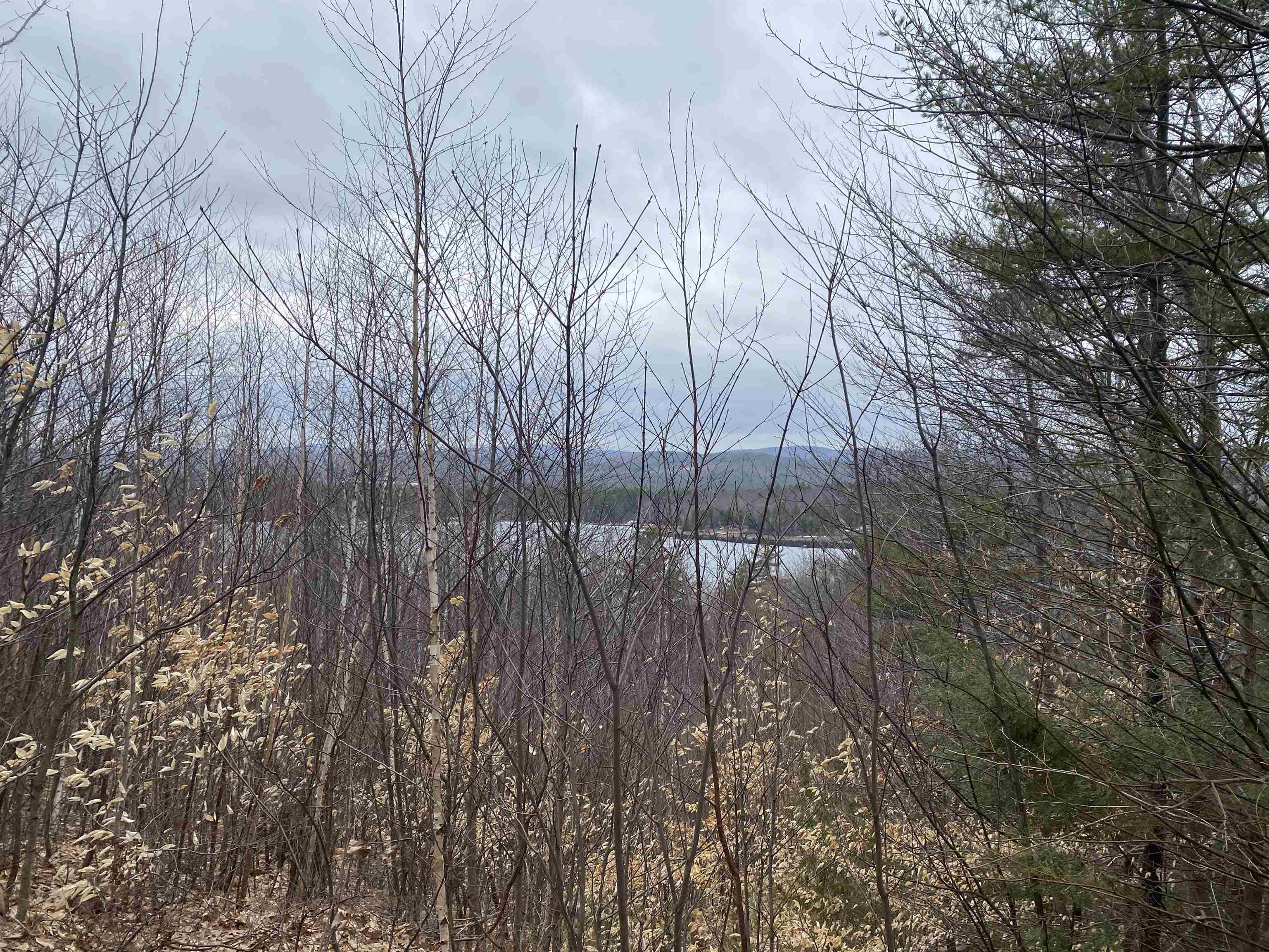 MLS #5045798 image #17