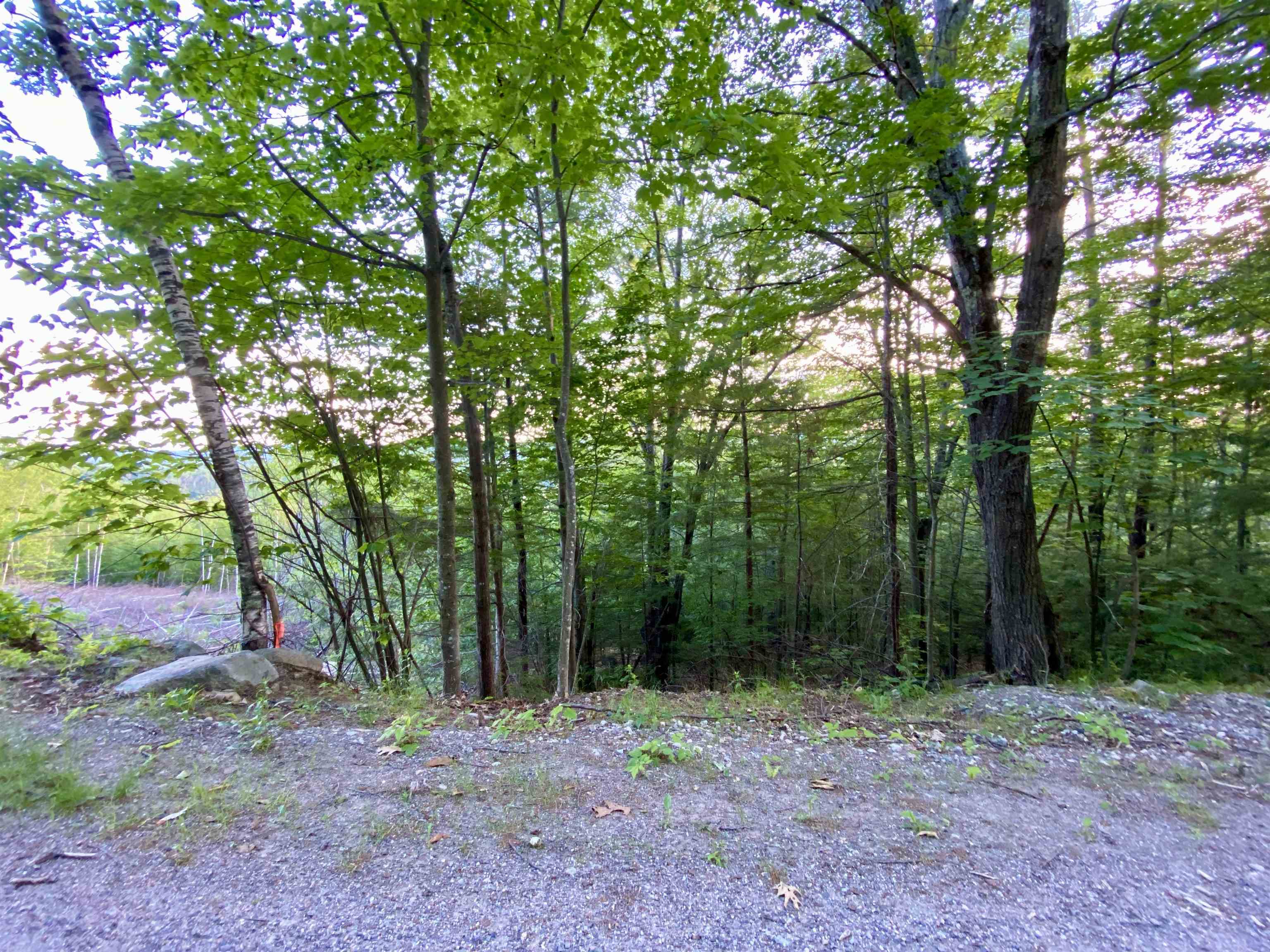 MLS #5045798 image #18