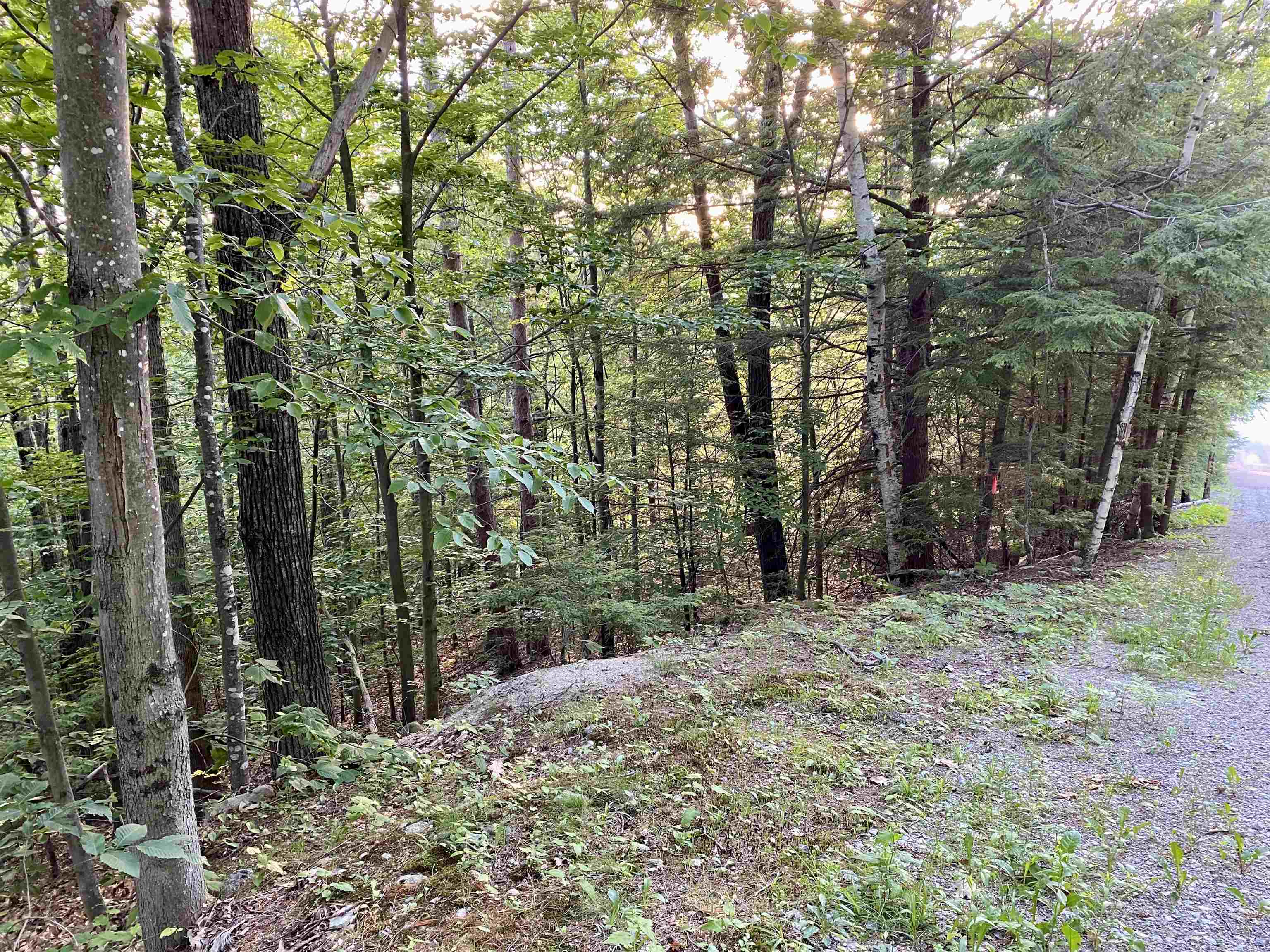 MLS #5045798 image #21