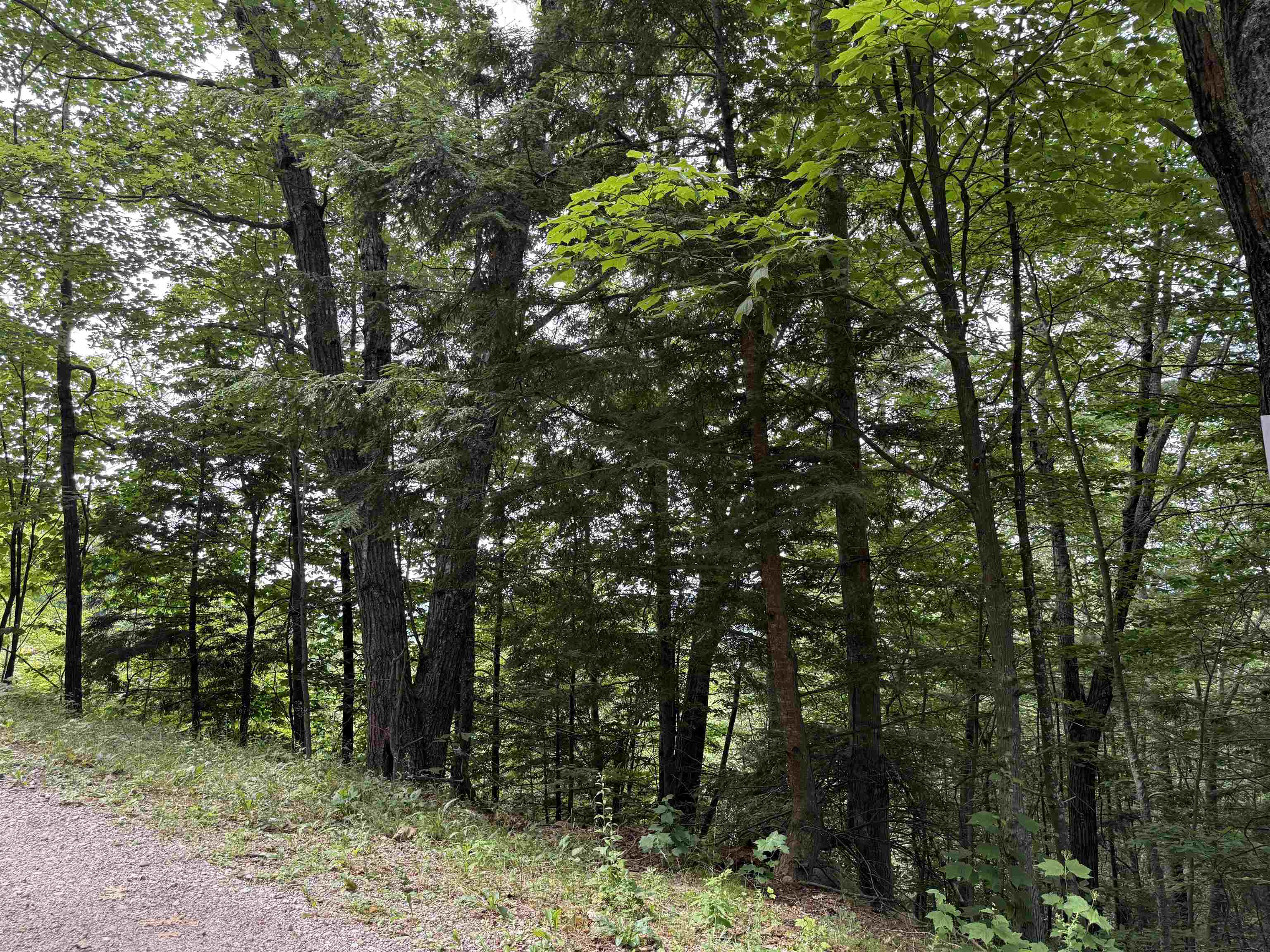 MLS #5045798 image #9