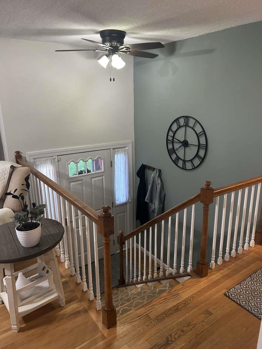 Photo 3 of 20