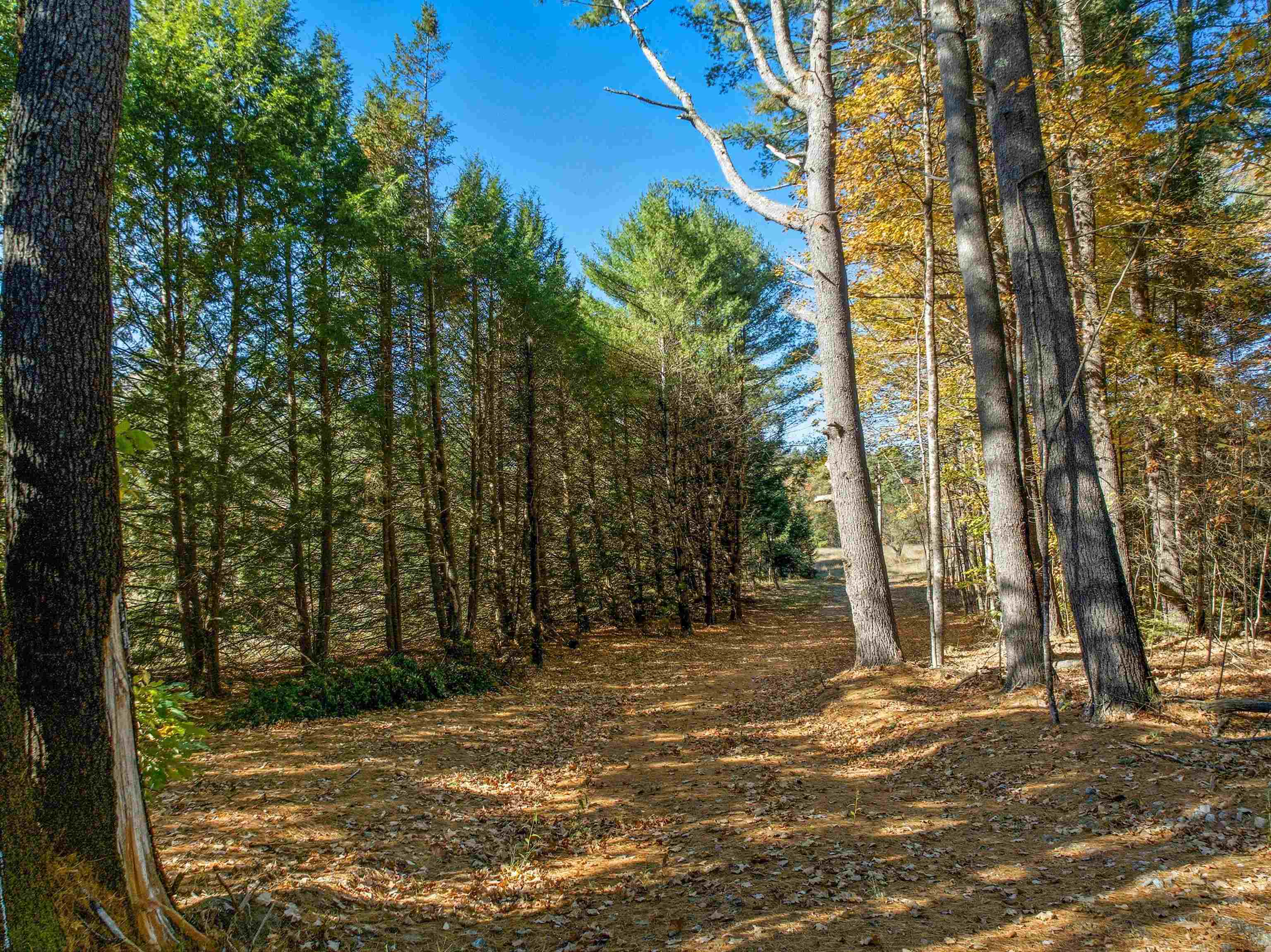 MLS #5030276 image #1