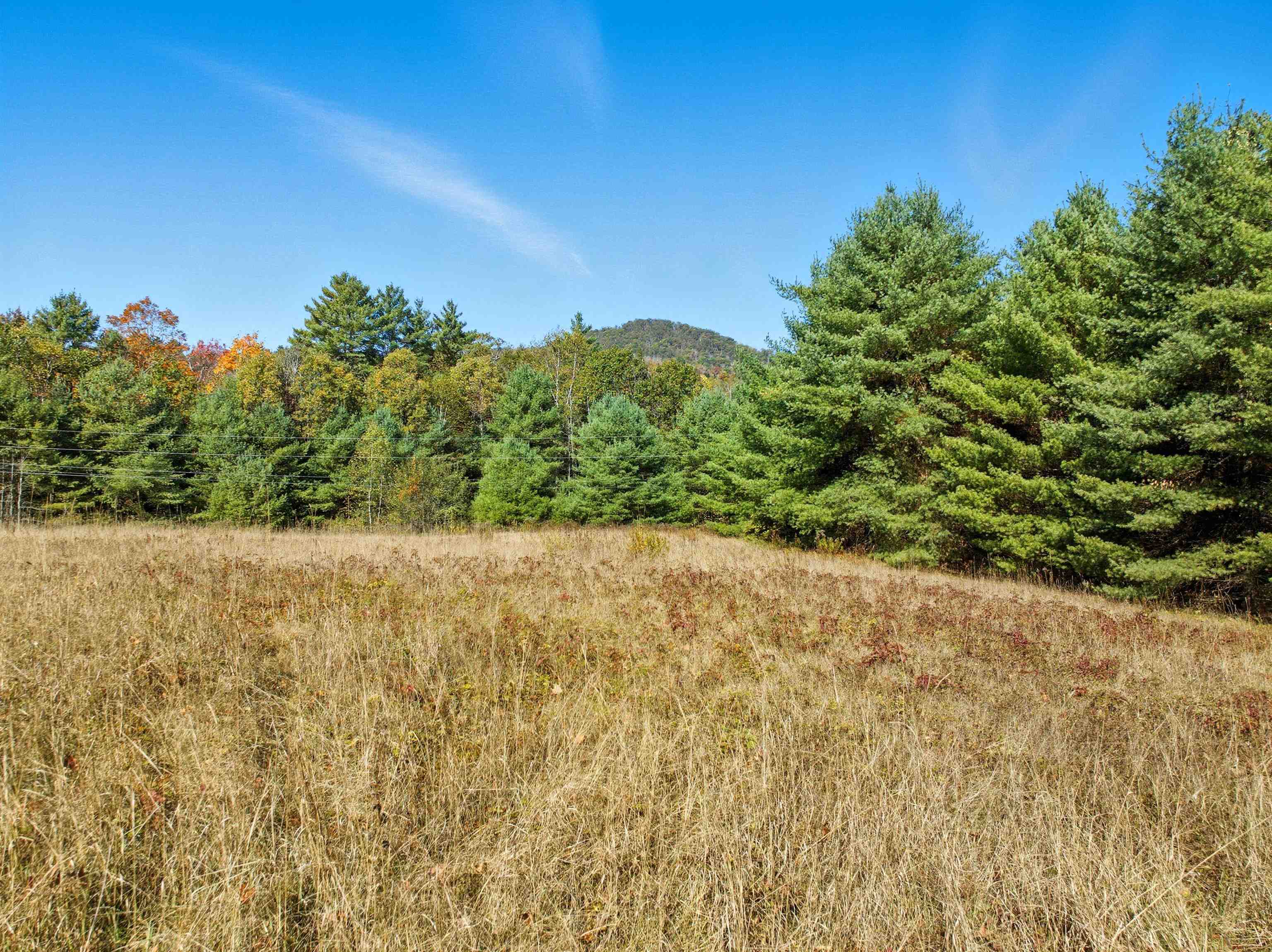 MLS #5030276 image #4