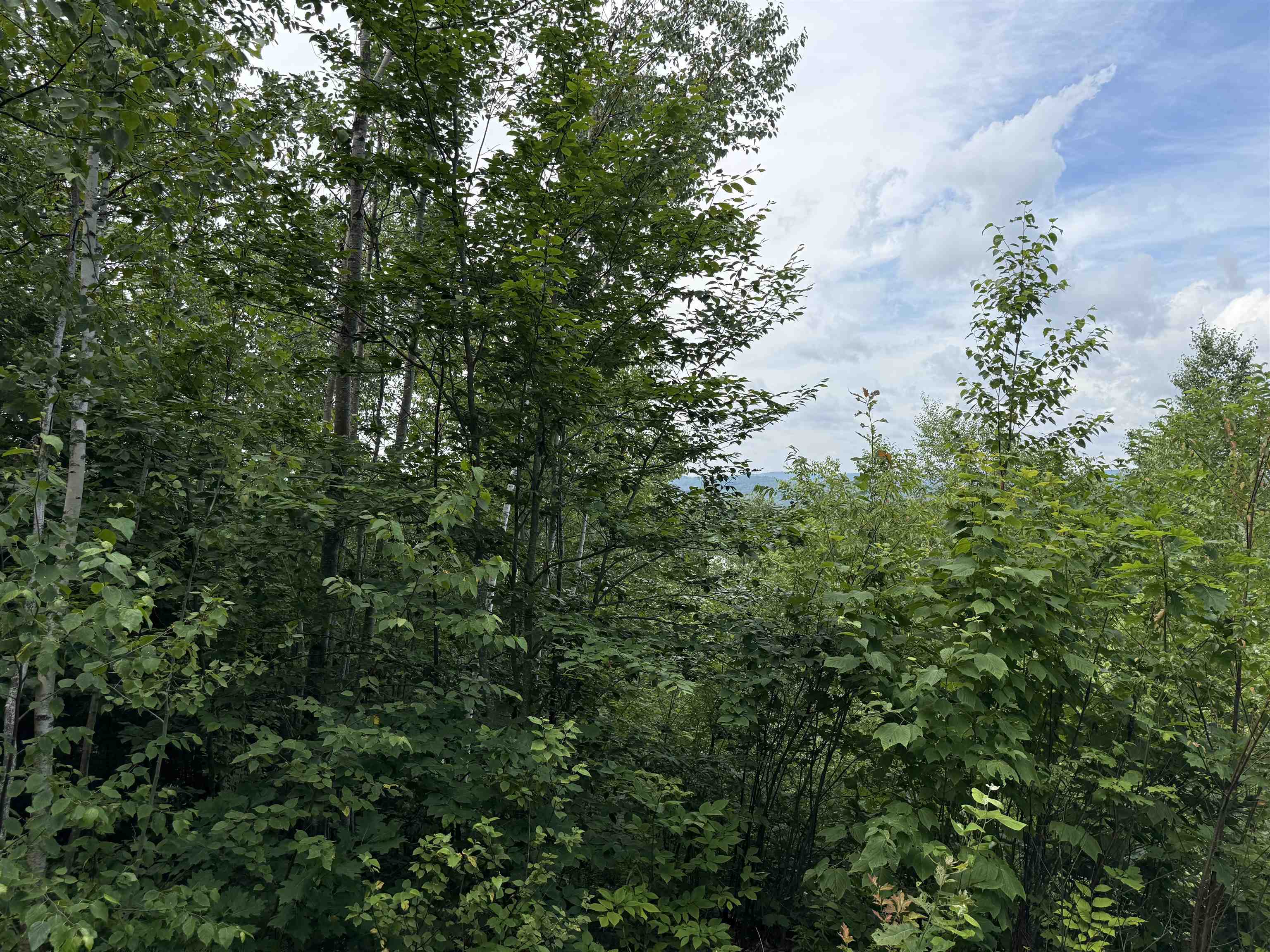 MLS #5046566 image #10