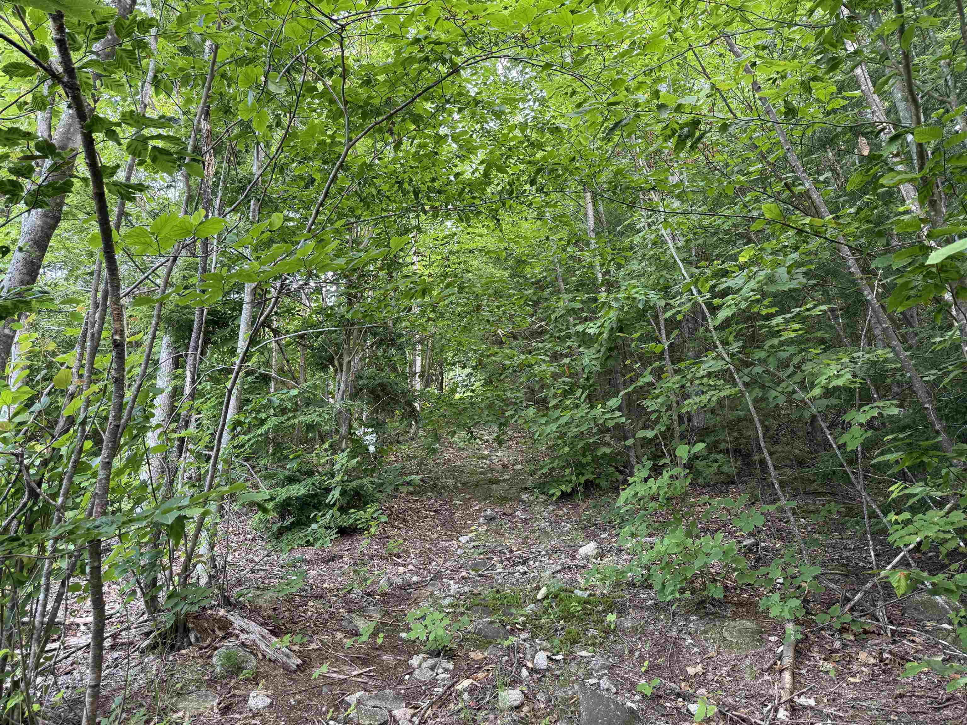 MLS #5046566 image #11