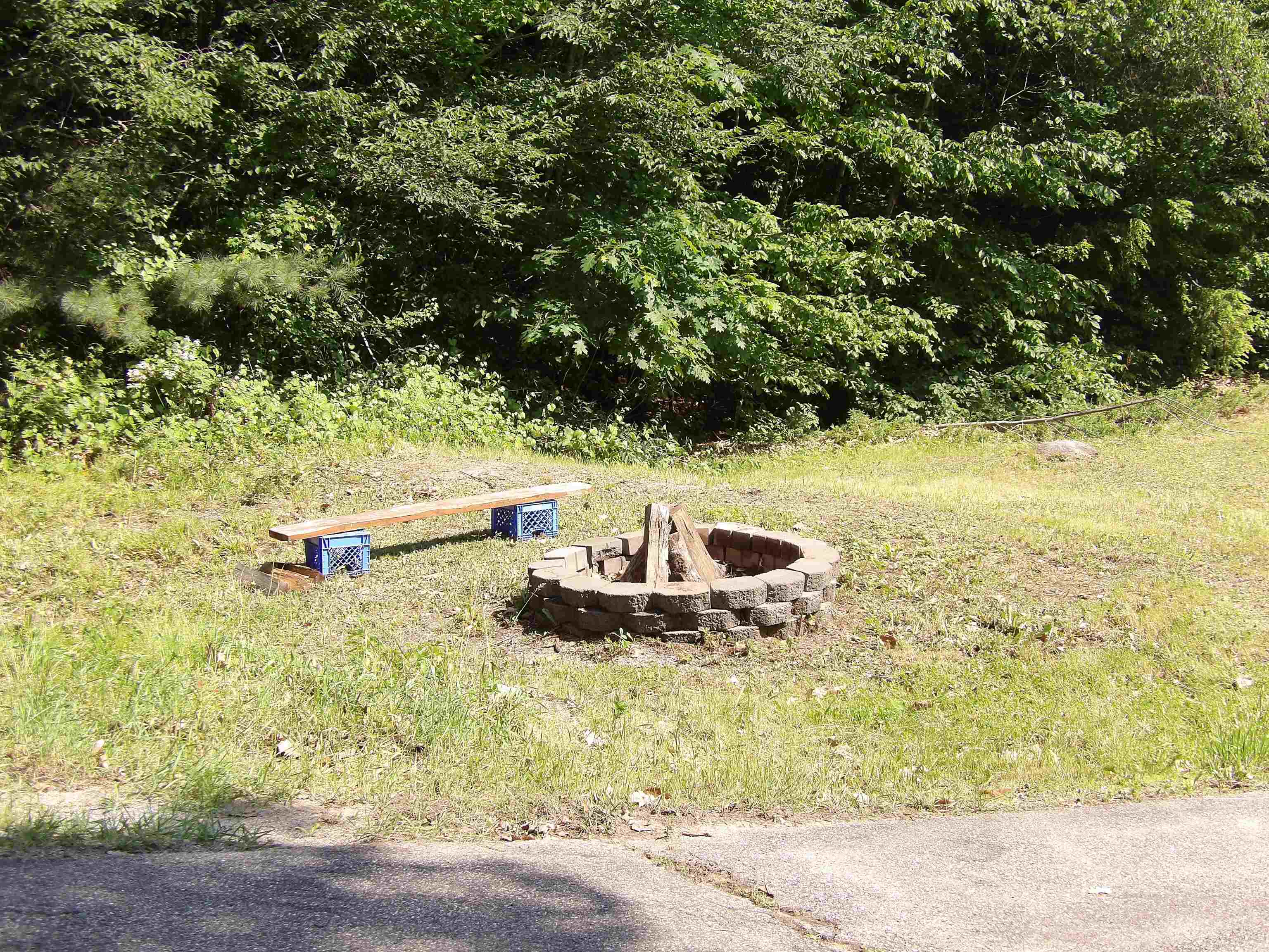 Fire pit!