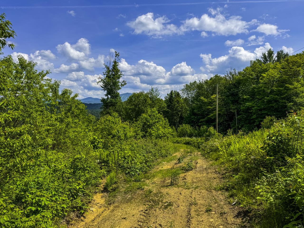 Looking down unfinished driveway from lot 1