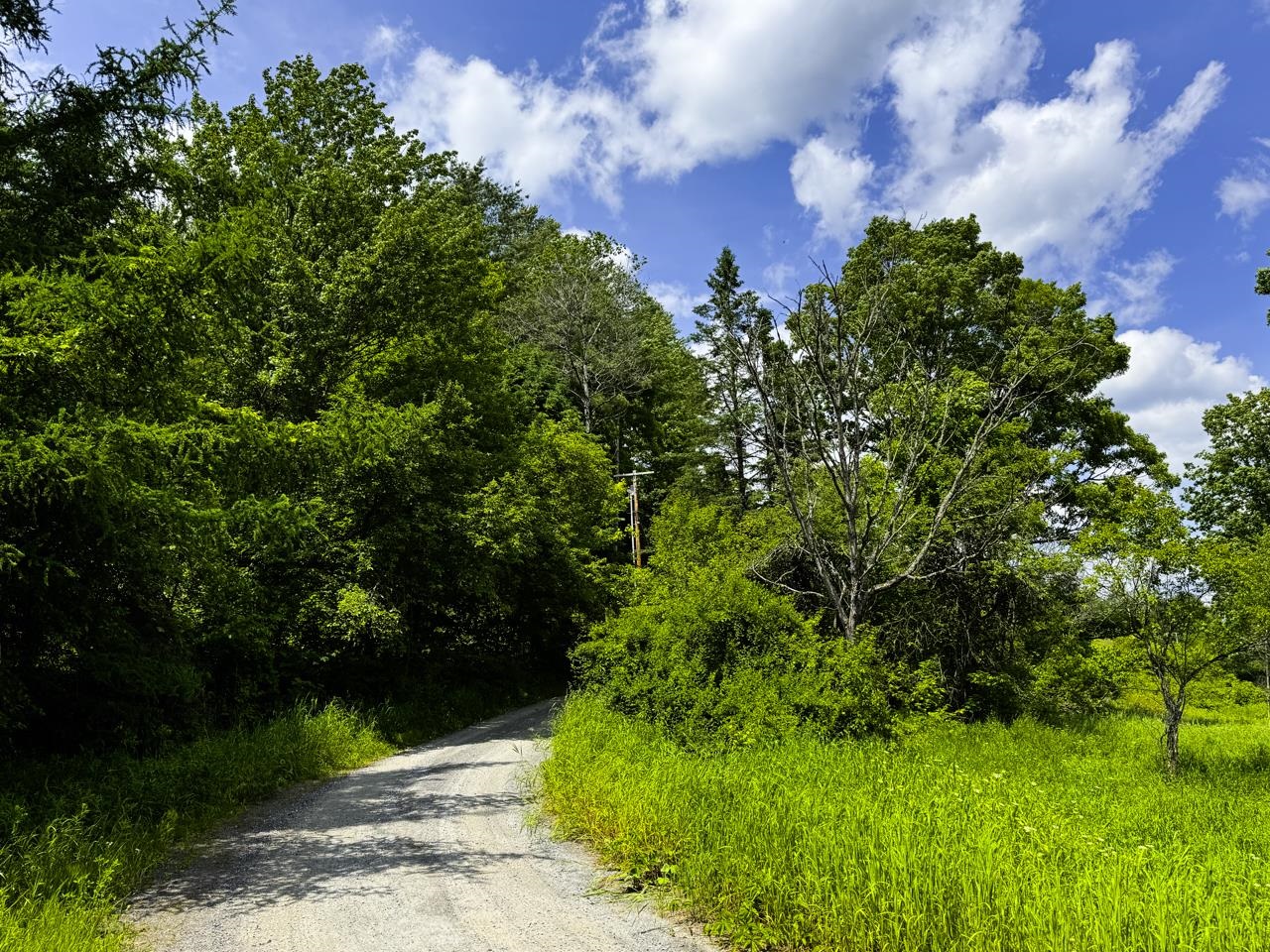 Lower driveway