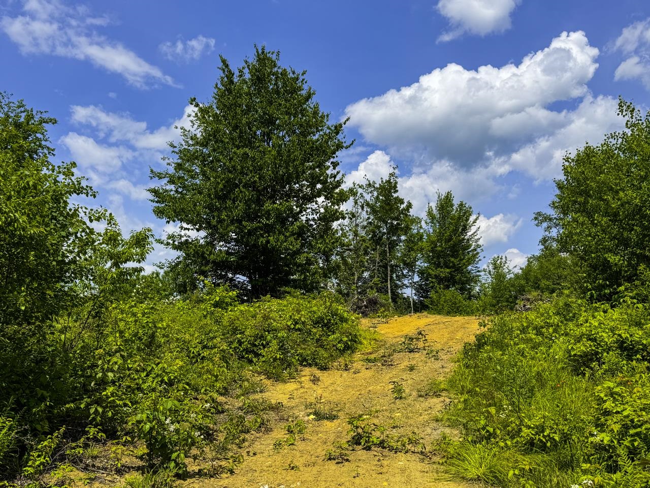 Upper driveway from Lot 1 to Lot 2