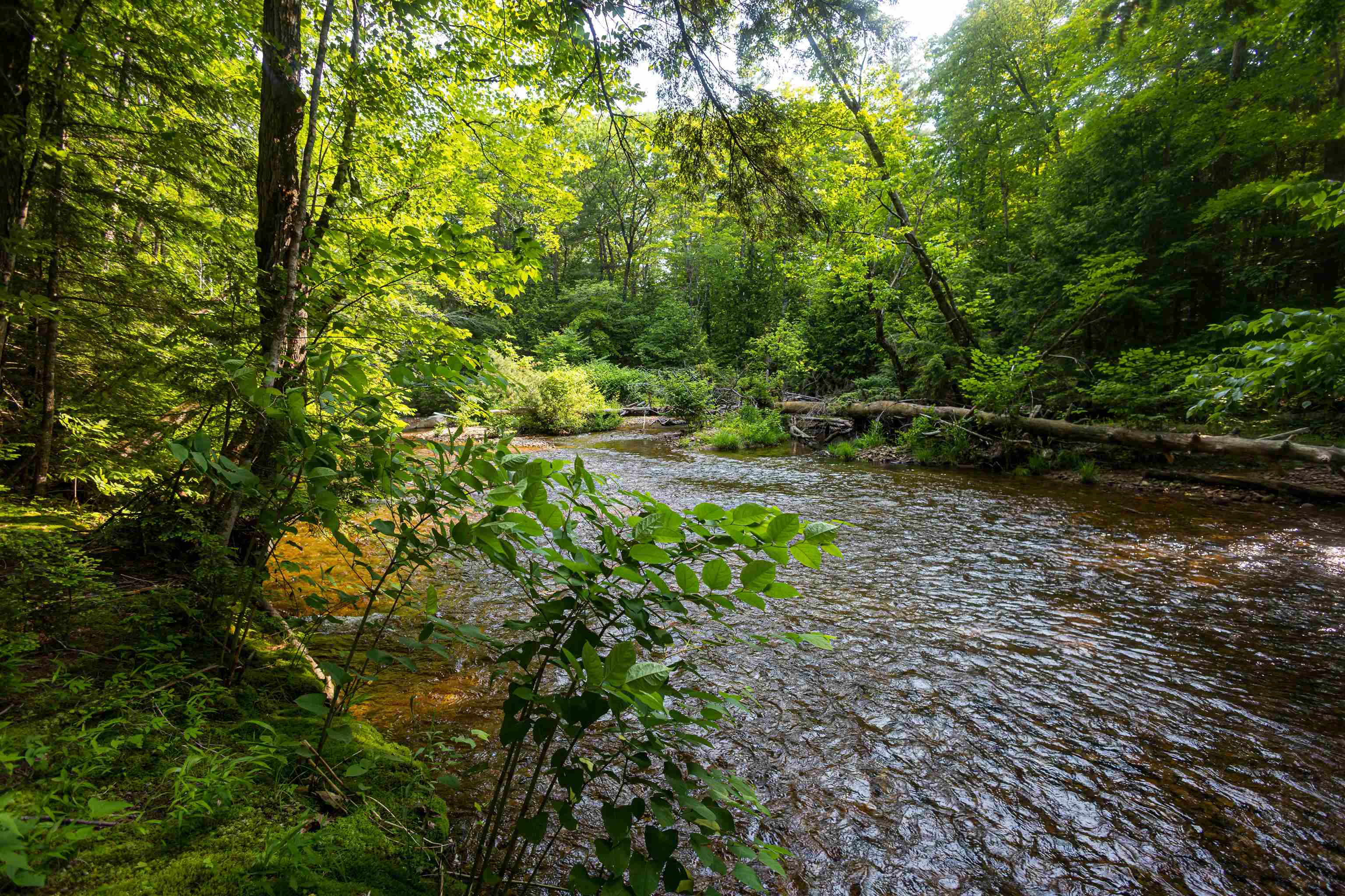 MLS #5047200 image #16