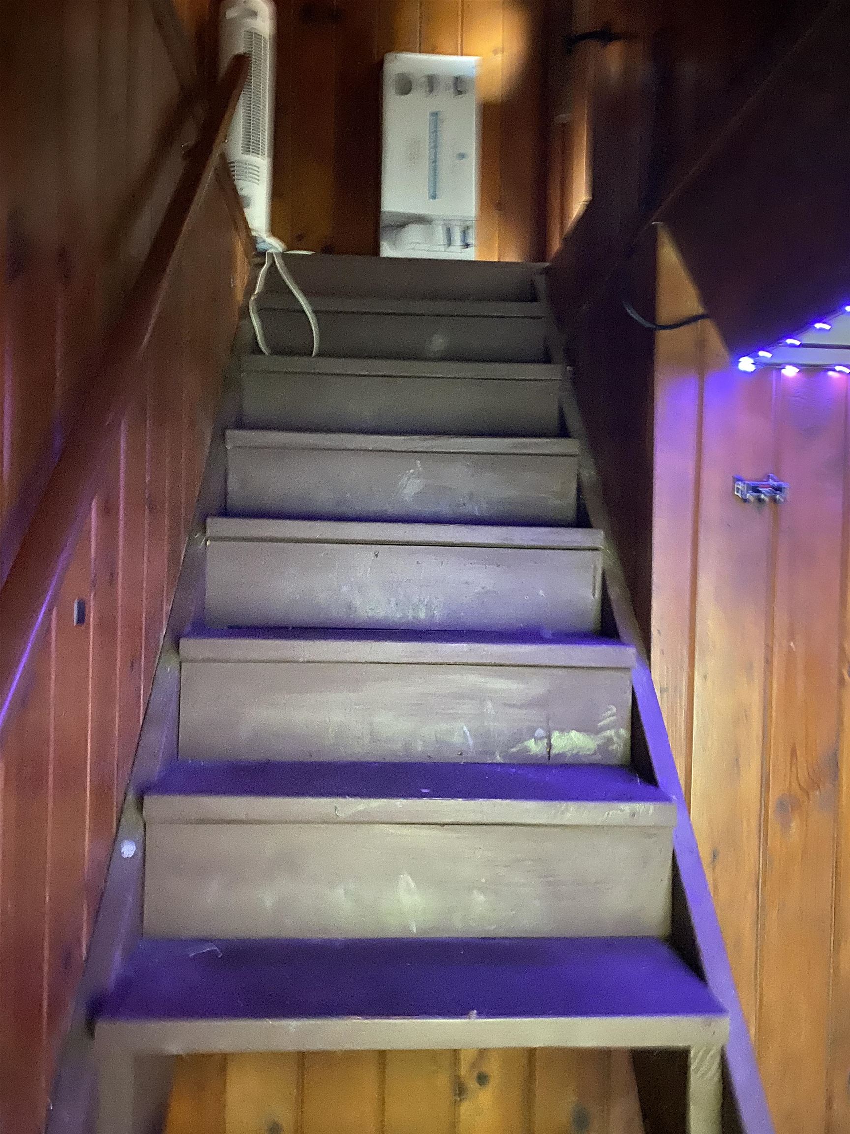 Southern House - Stairs to Finished Basement