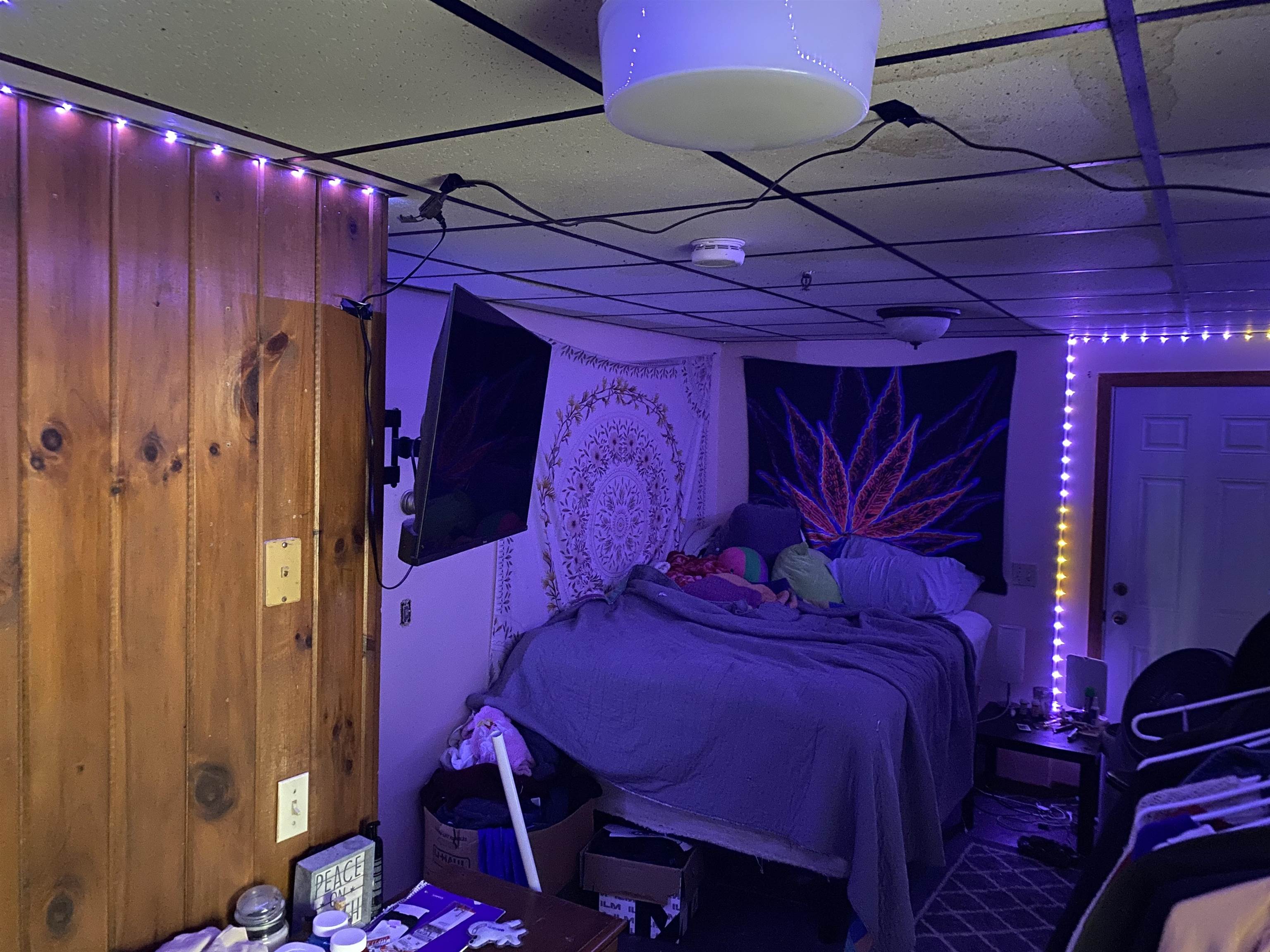 Southern House - Basement Bedroom