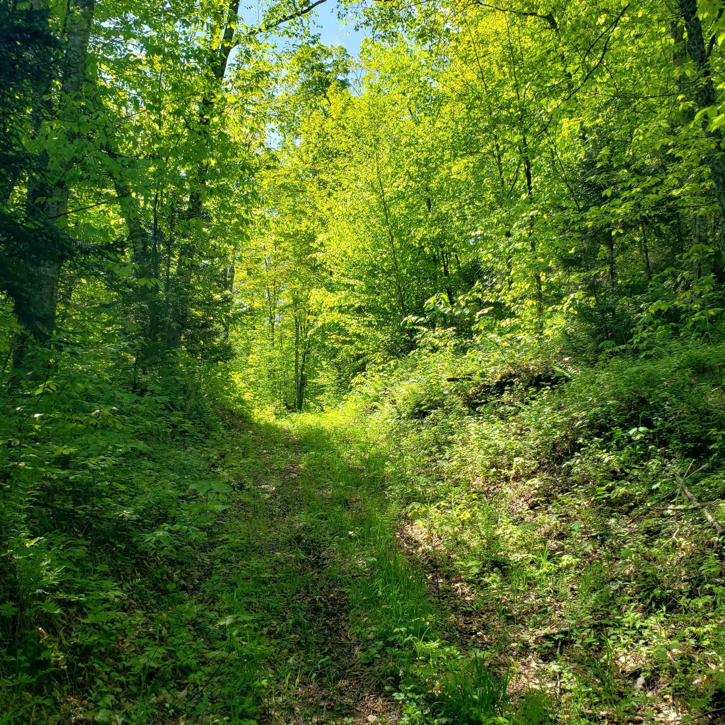 VAST Trail