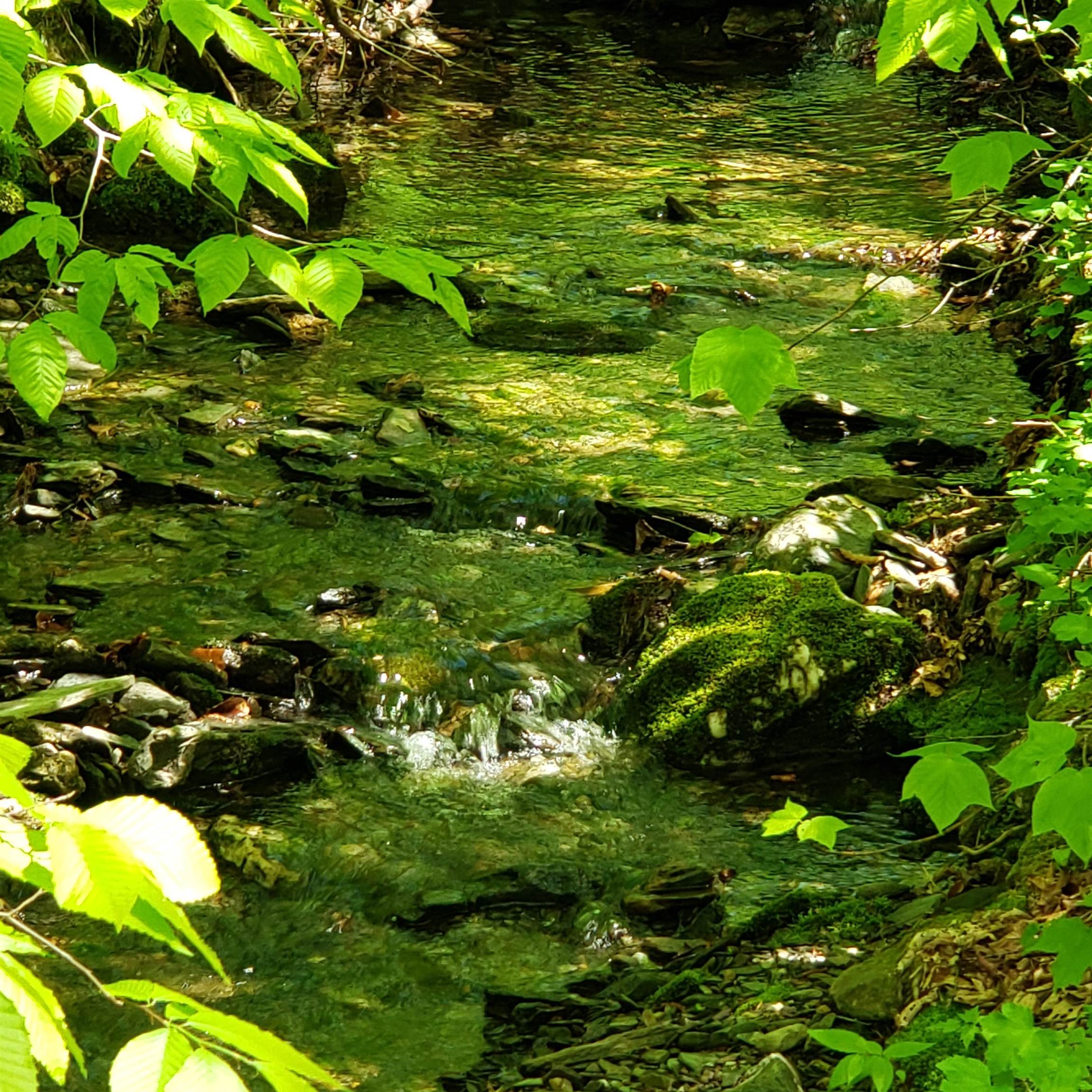 Bull Run River 3