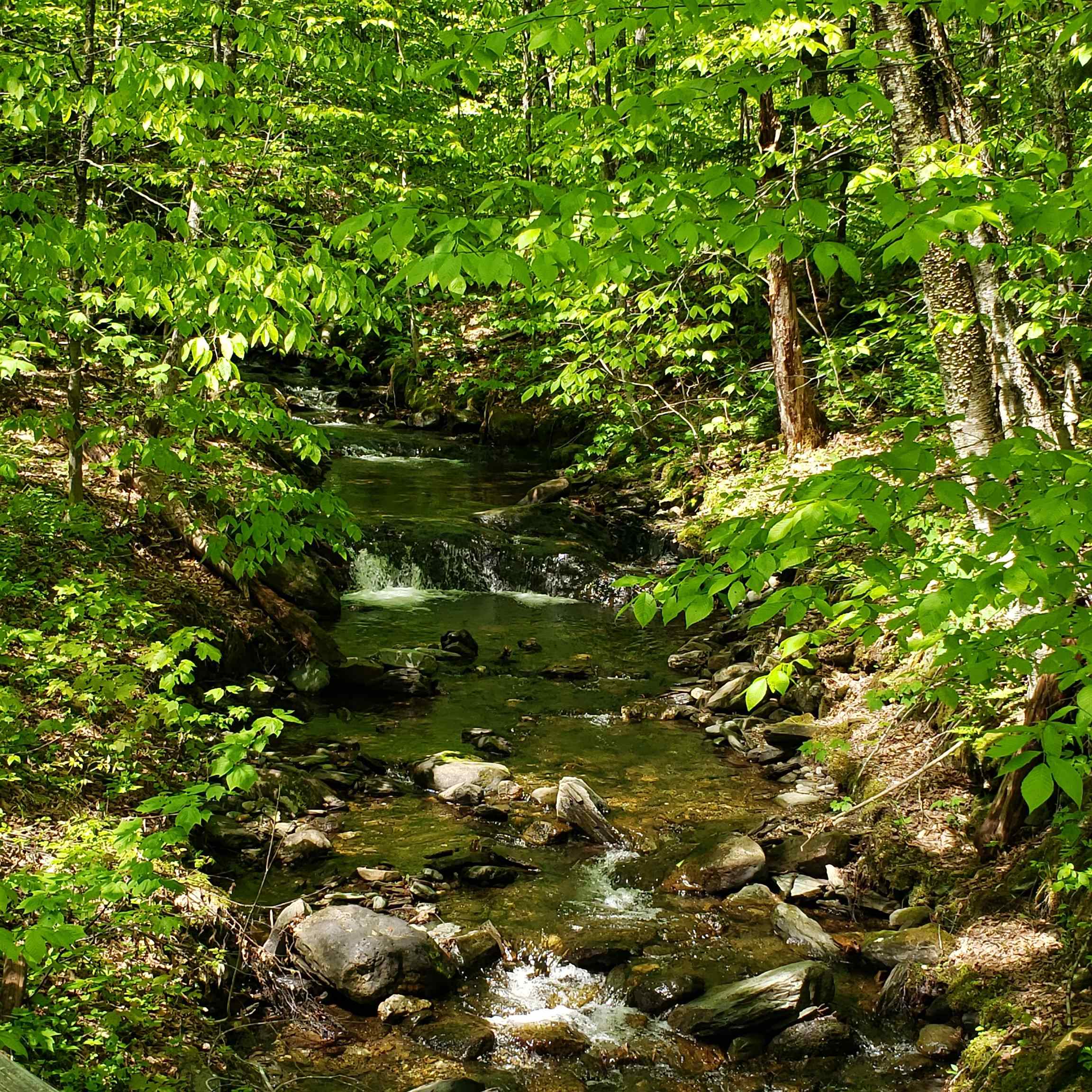 Bull Run River 4