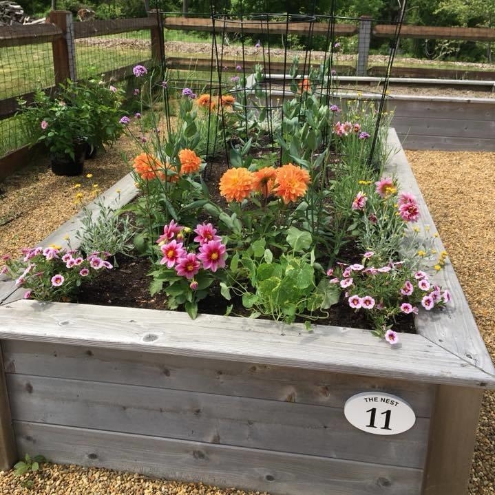 Space to flex your green thumb