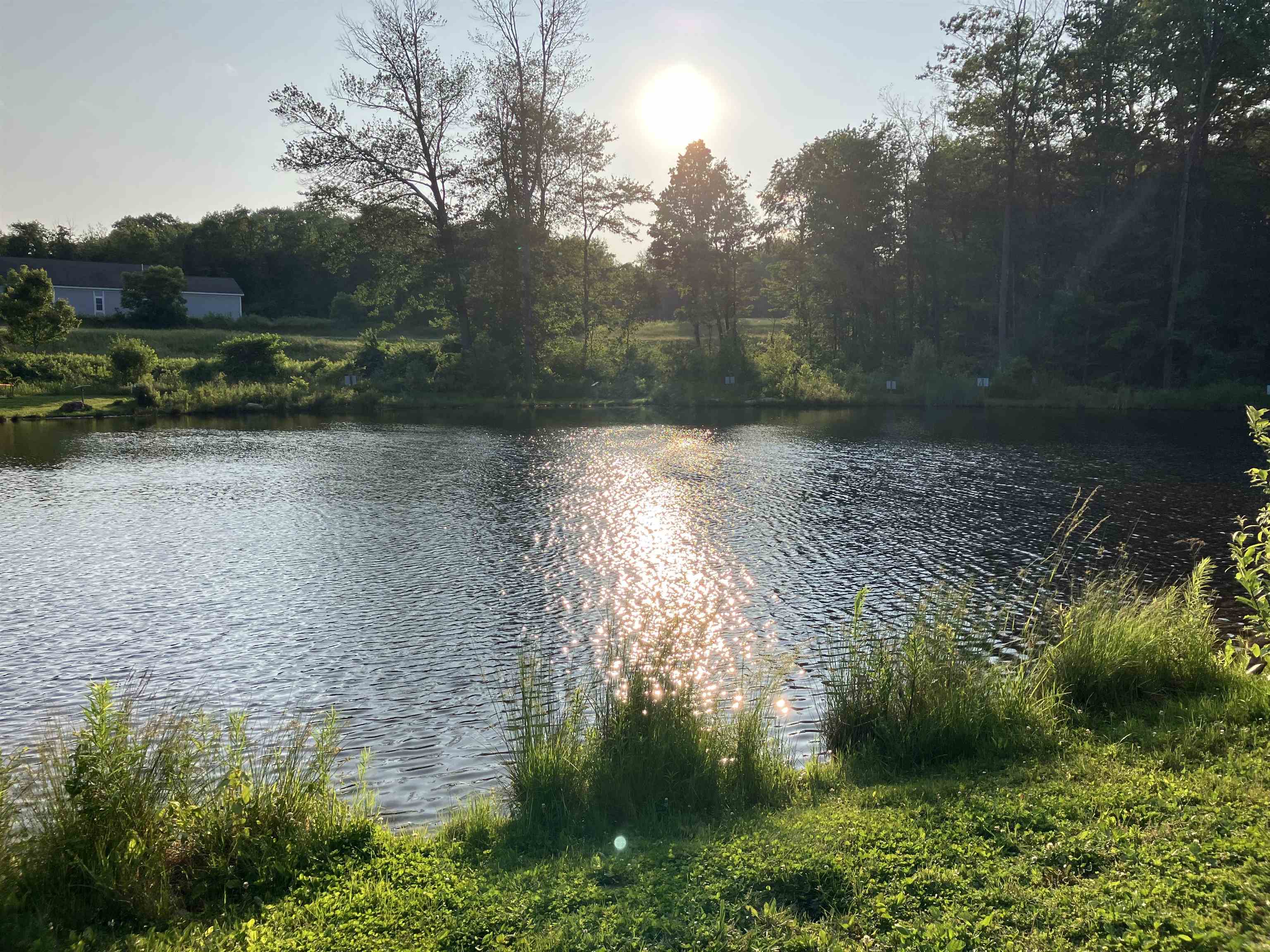 Carleton Pond, next to post office and library