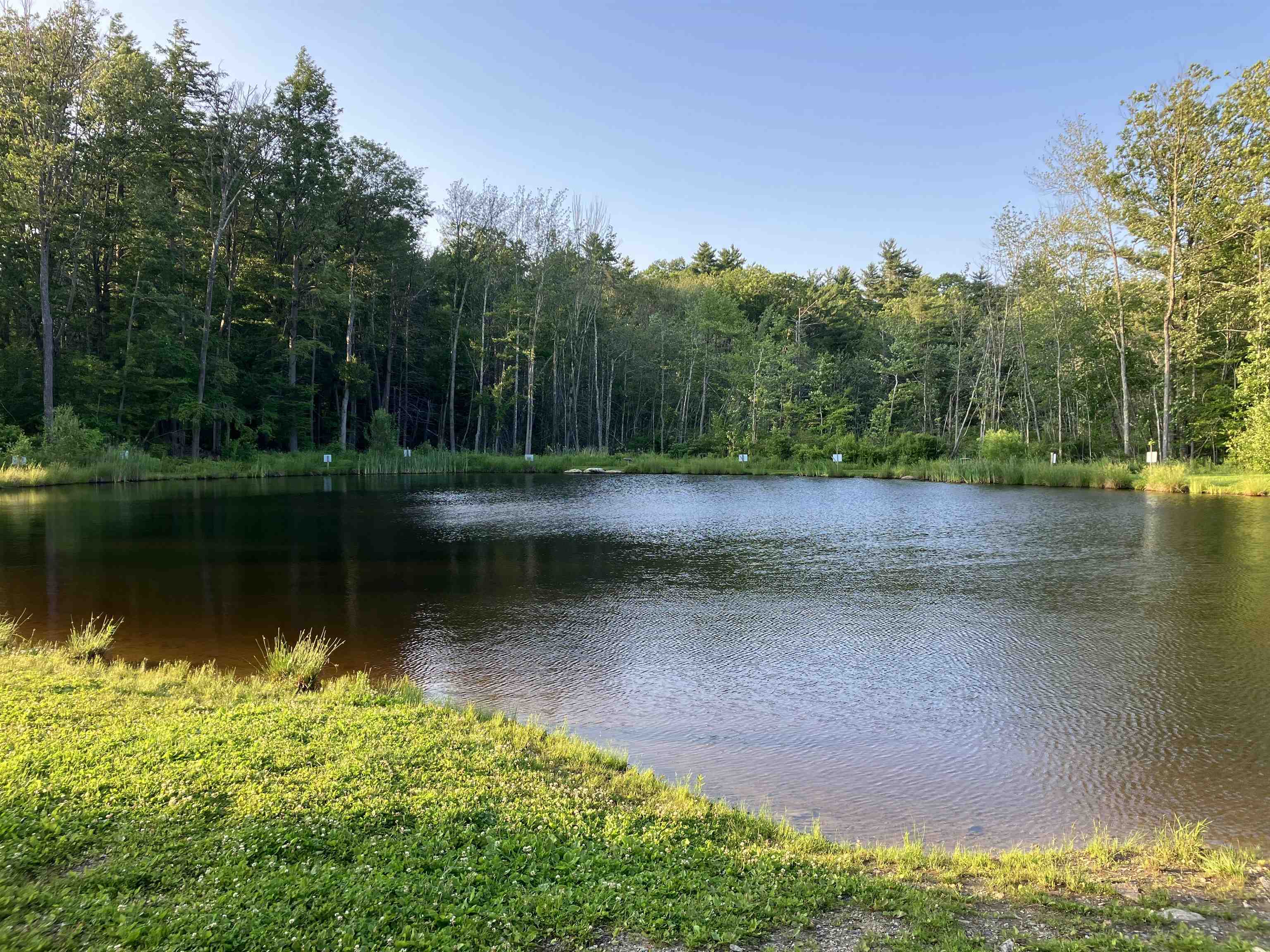 Carleton Pond walking path