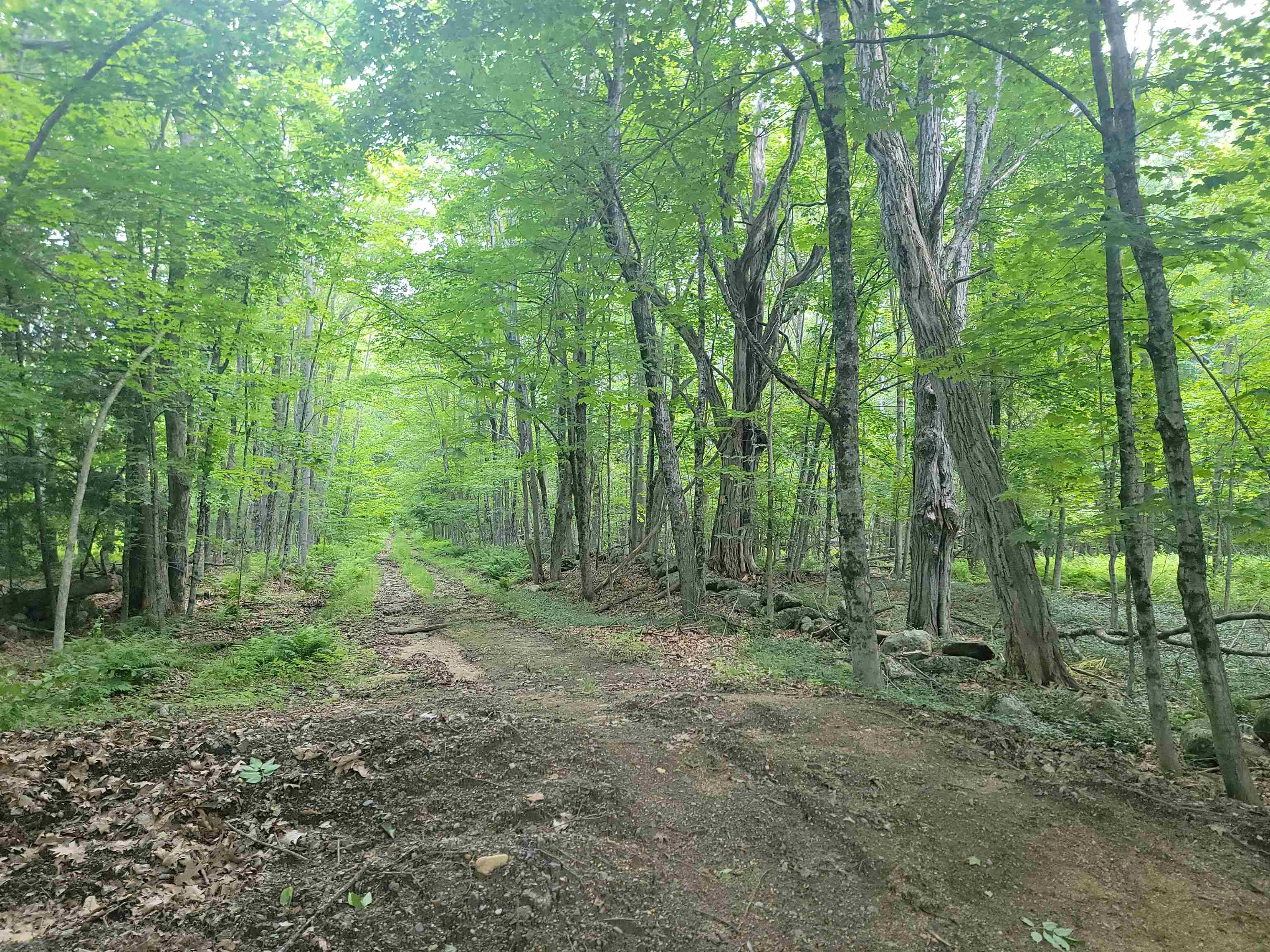 Dirt Rd Section