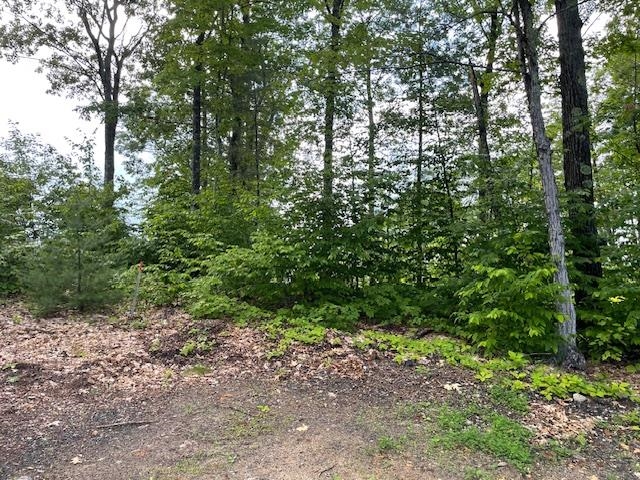 A cleared spot