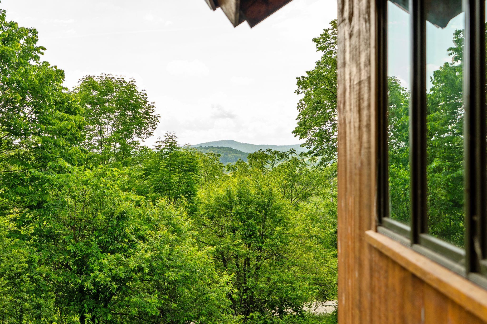 Local Views
