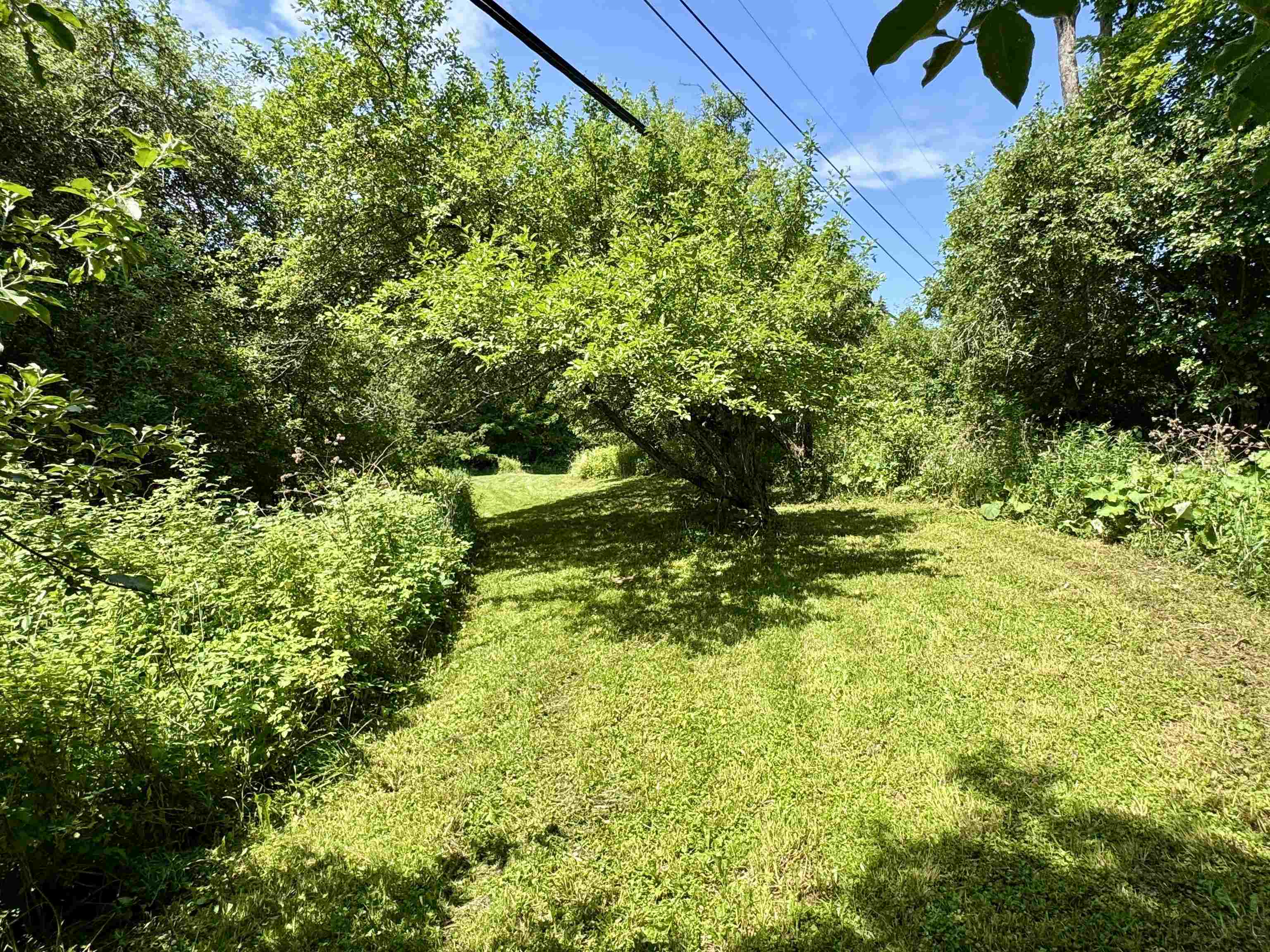 Secluded Lot