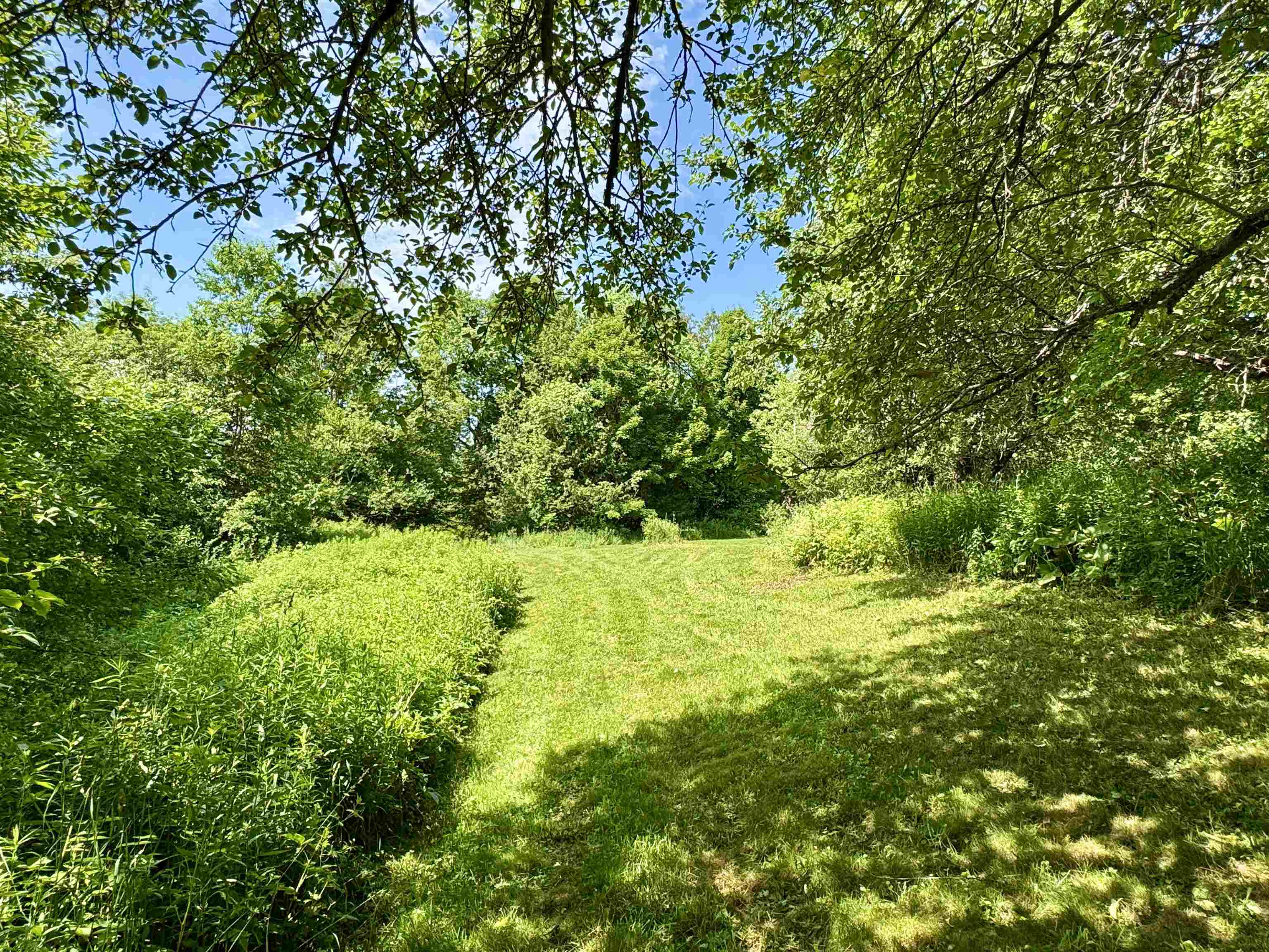 Secluded Lot