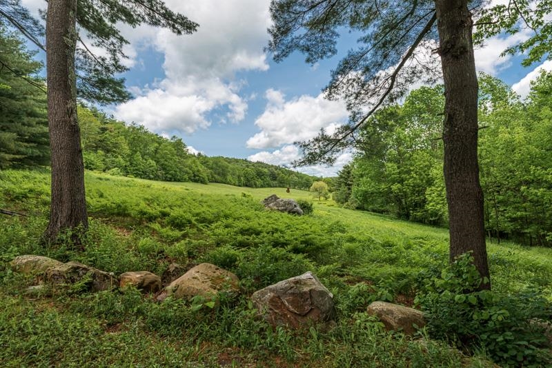 Cottage Views of Vintage Sheep Pastures