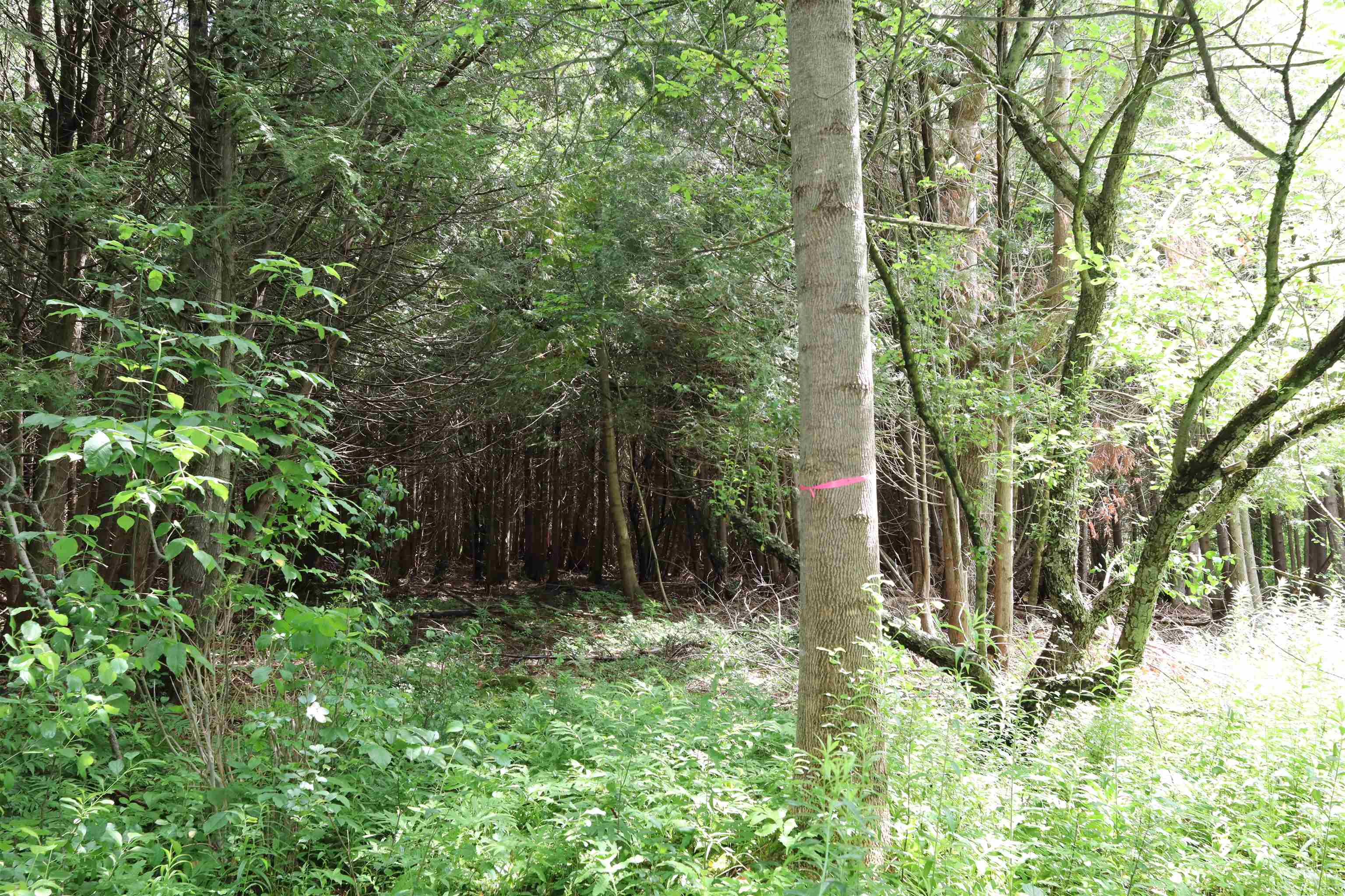 boundary markers