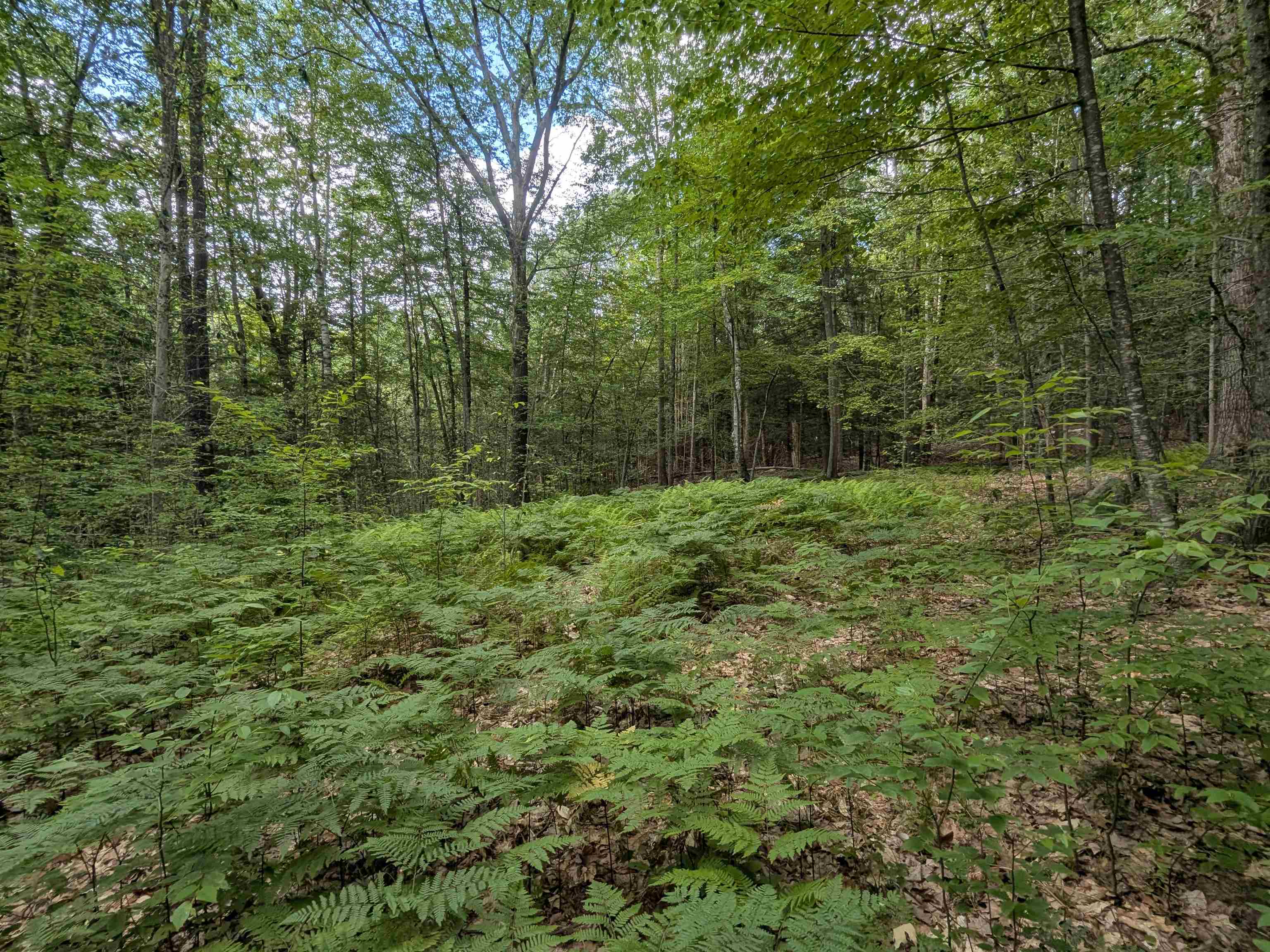 Photo of A 66 Burton Highway Wilton NH 03086