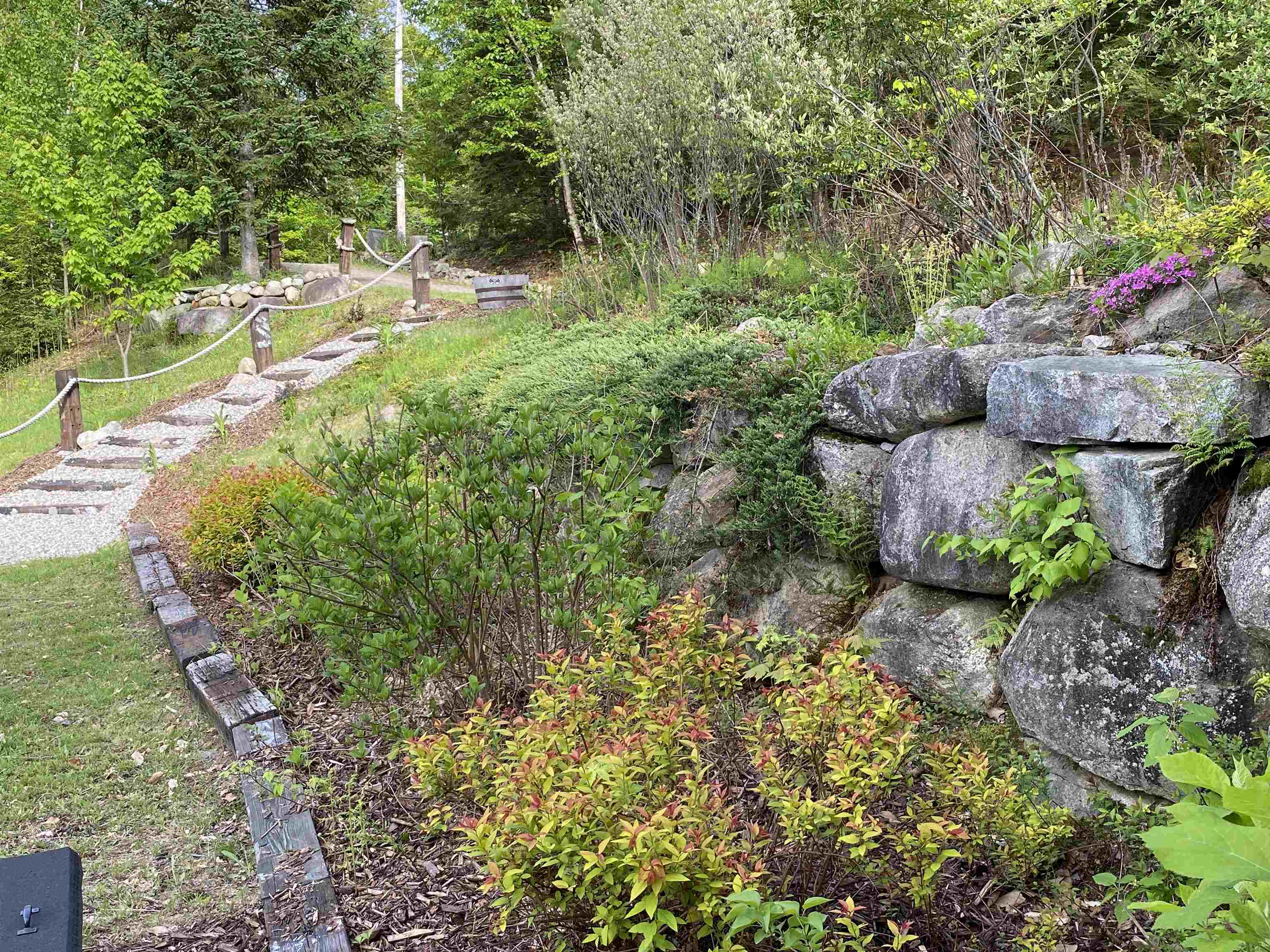BEAUTIFUL MATURE GARDENS