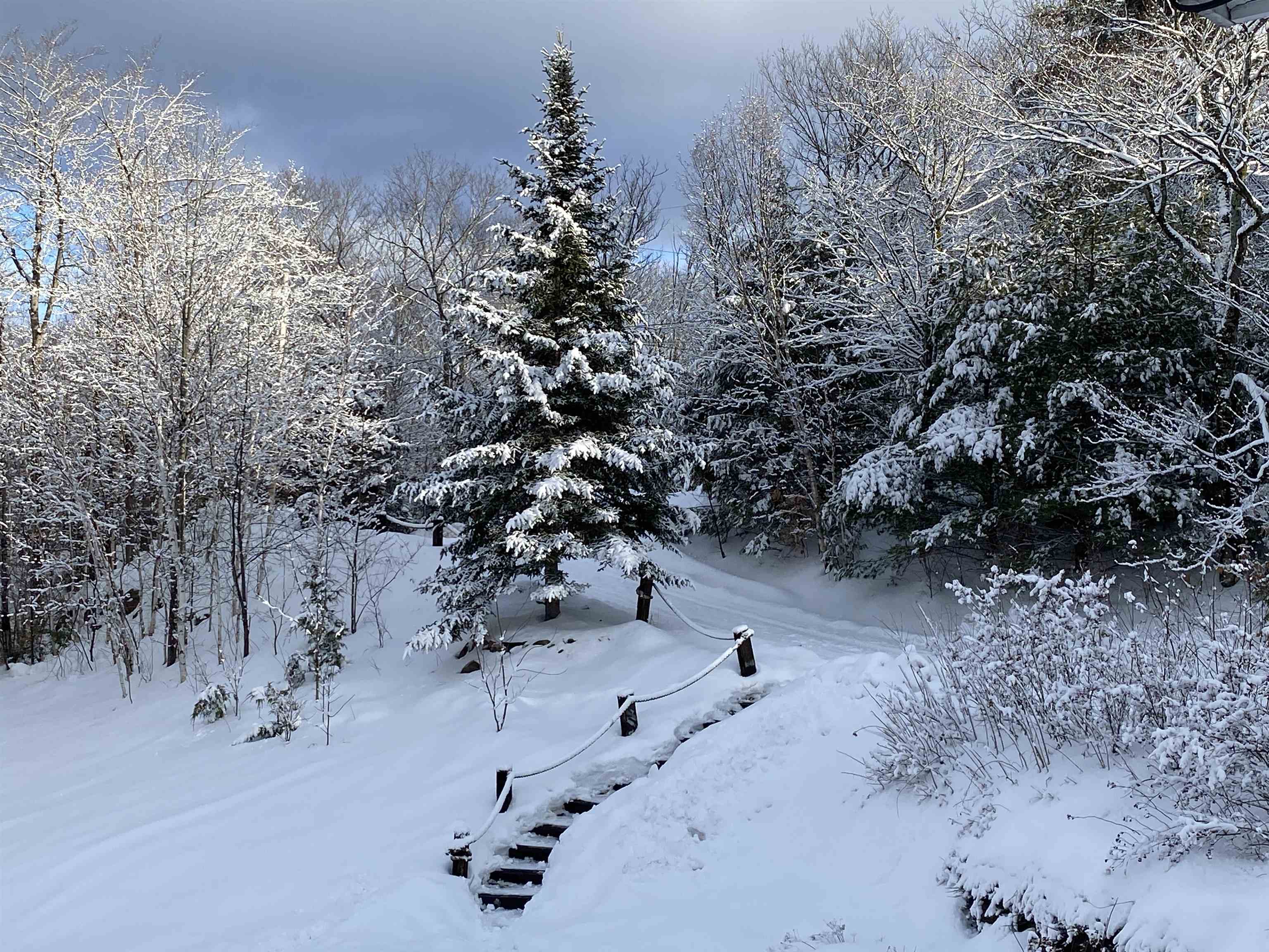 THERE IS LOTS OF WILDLIFE TO ENJOY YEAR ROUND.