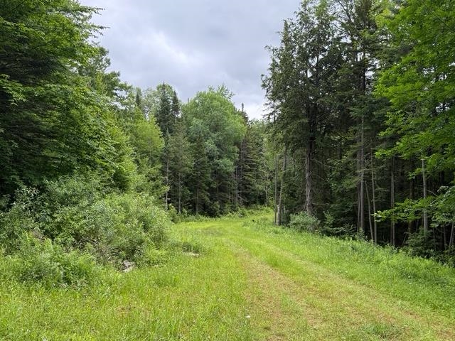 Shared Driveway