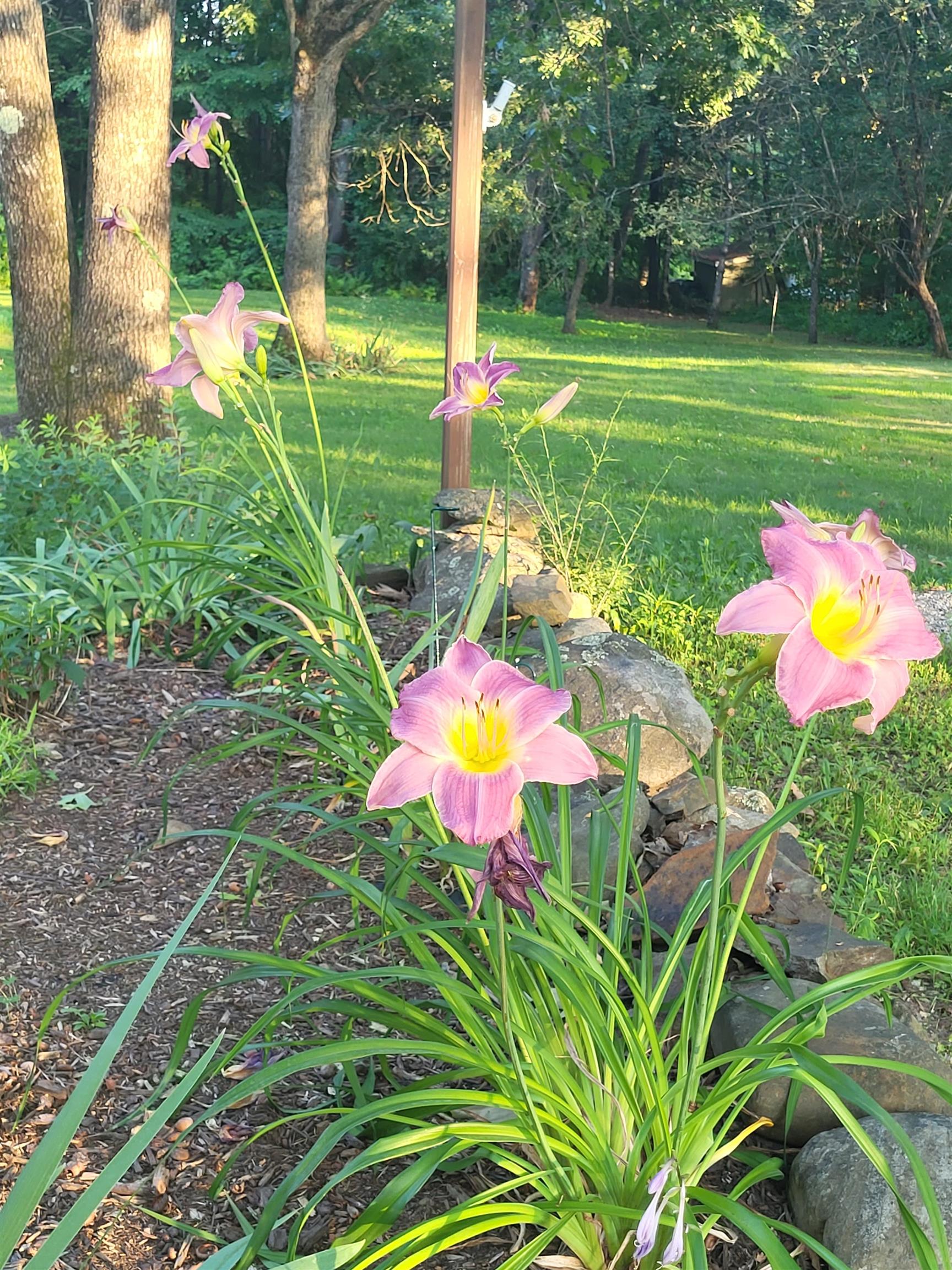 MLS #5049319 image #46