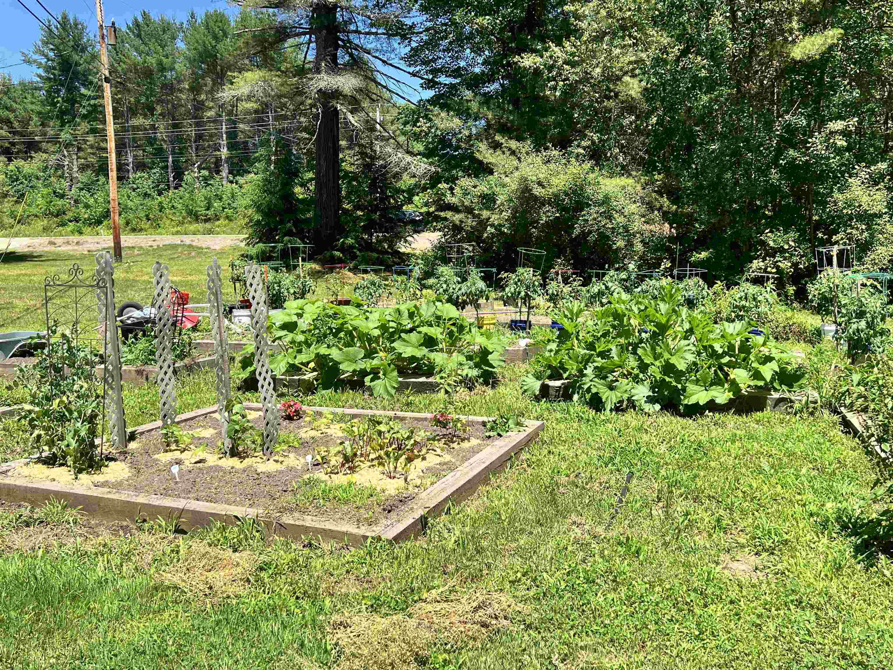 MLS #5049335 image #27