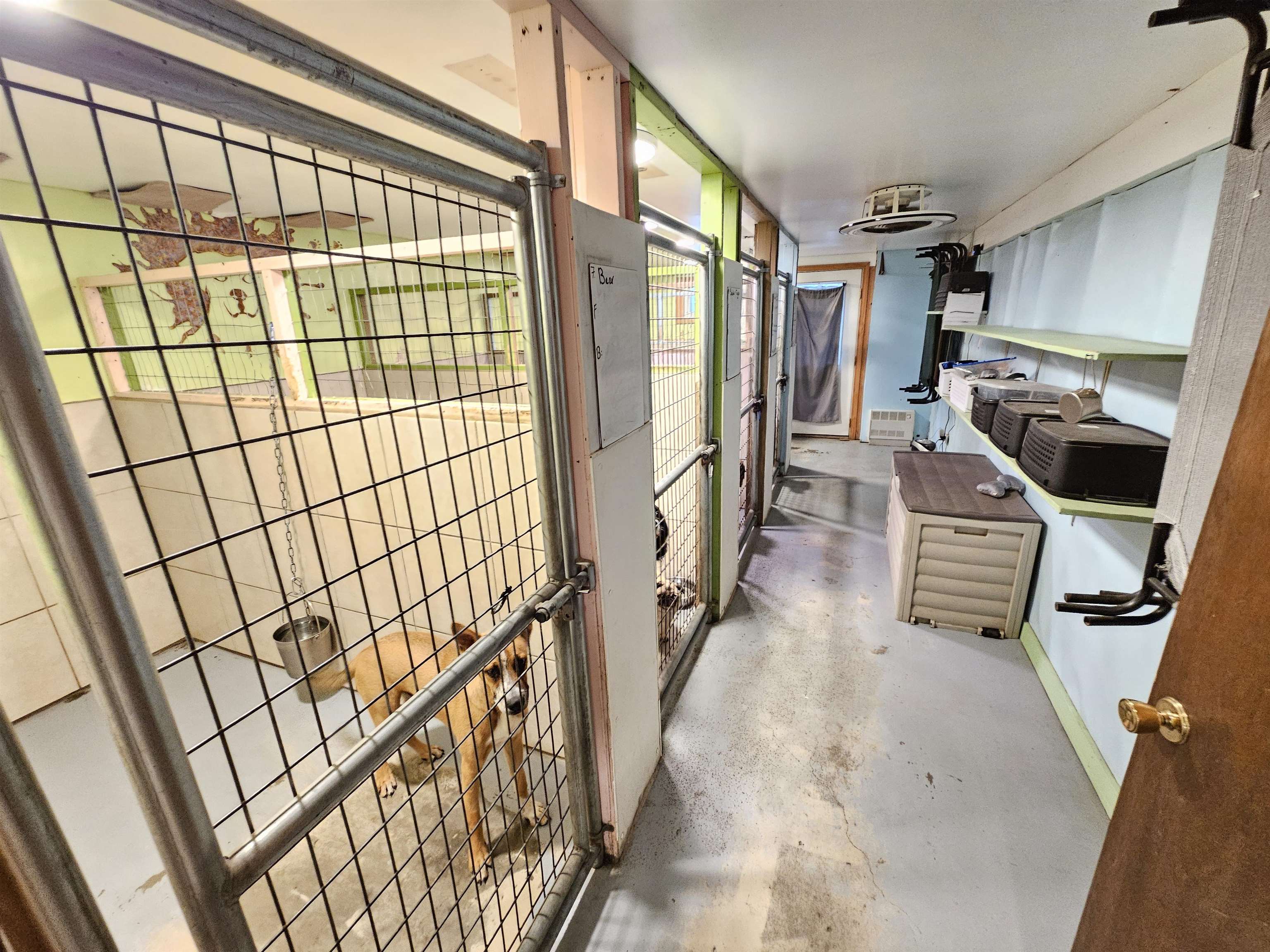 A plethora of kennels for housing all of the Kingdoms precious pets!