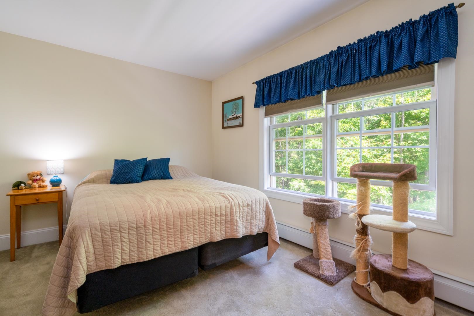 MLS #5049566 image #12