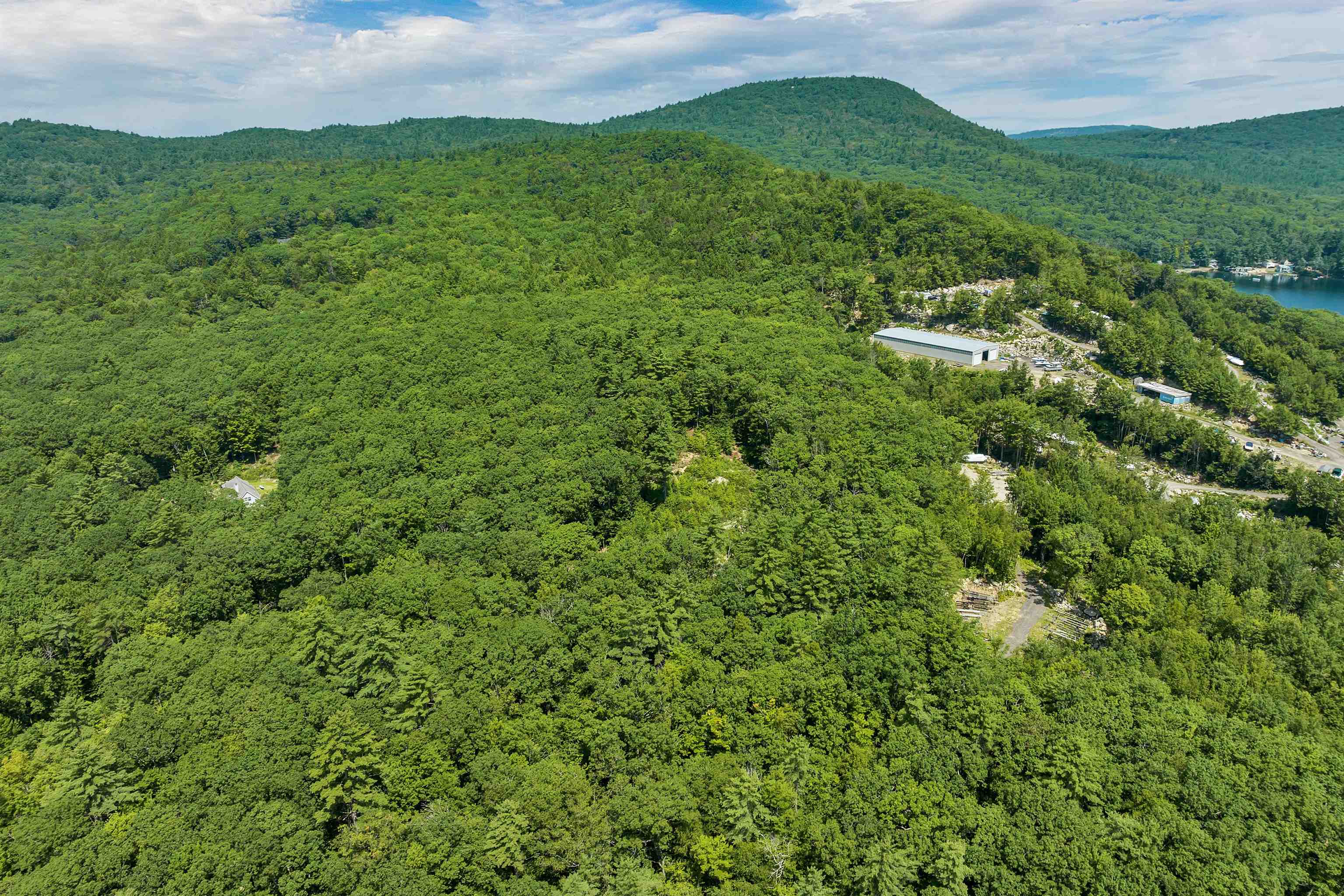 Clearing within the surrounding Forest