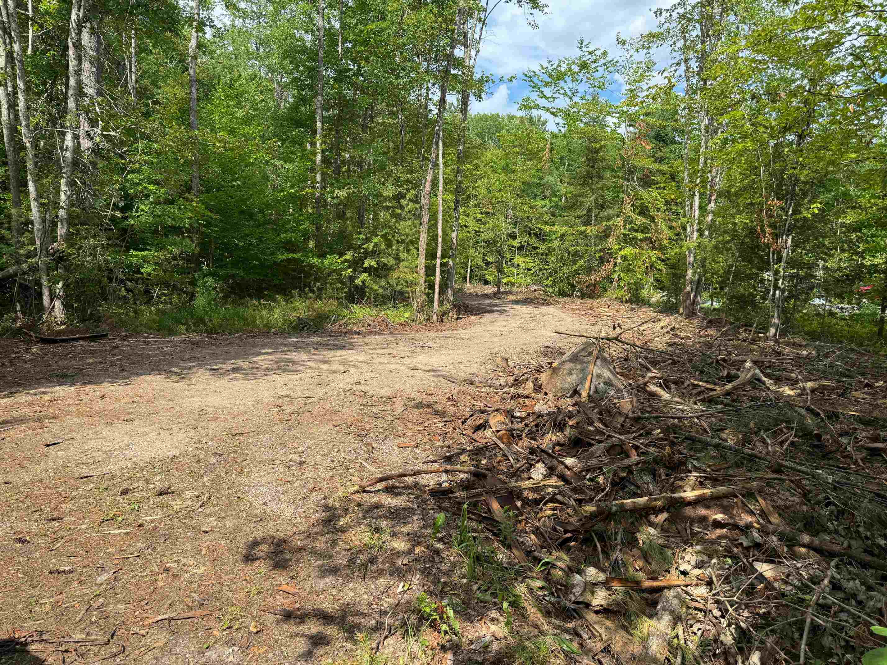 Level Driveway to a possible building site 400