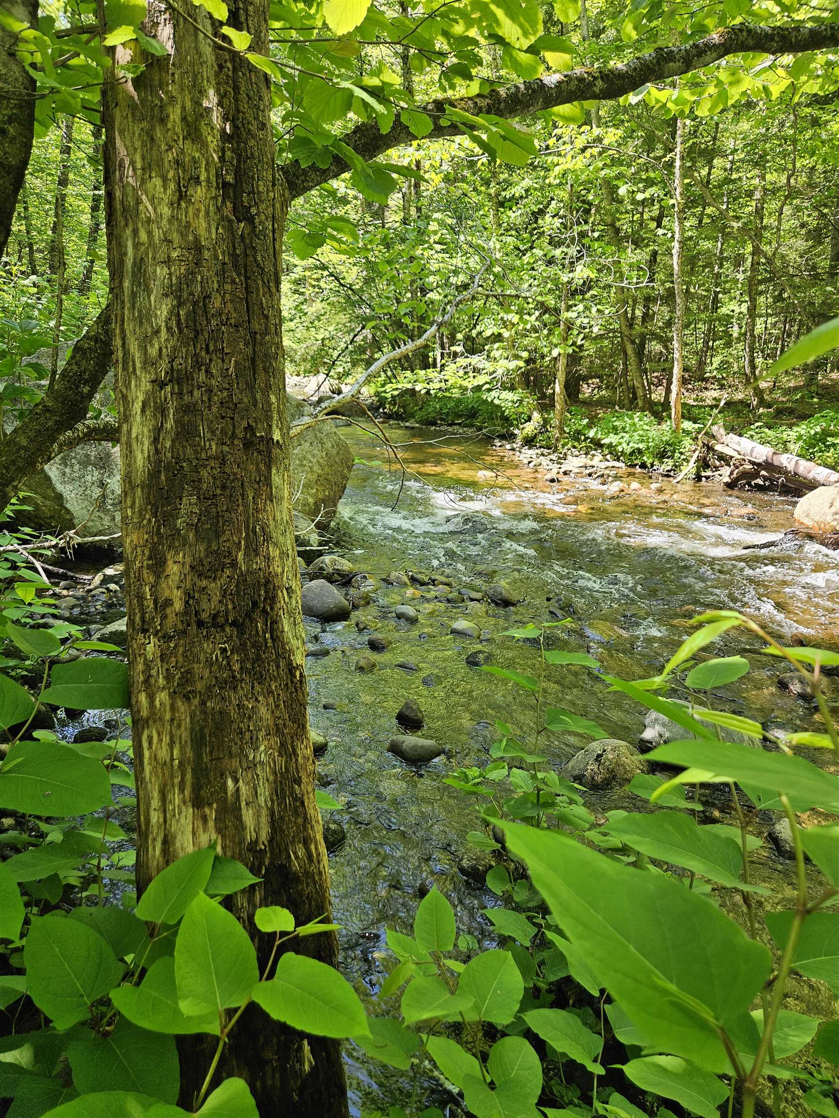 Photo of 869 Stinson Lake Road Rumney NH 03266