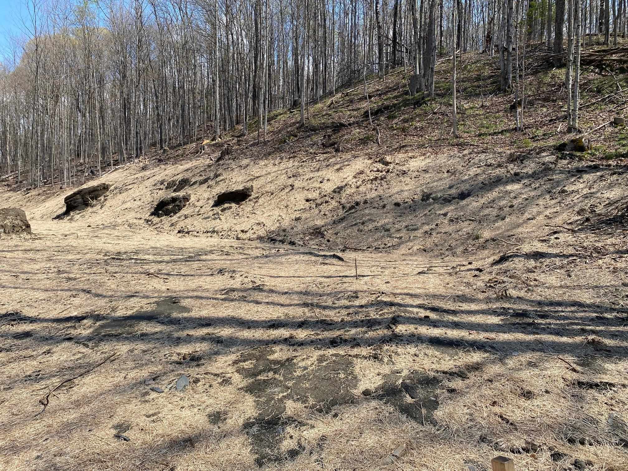 Lot 9 Maplewood Avenue