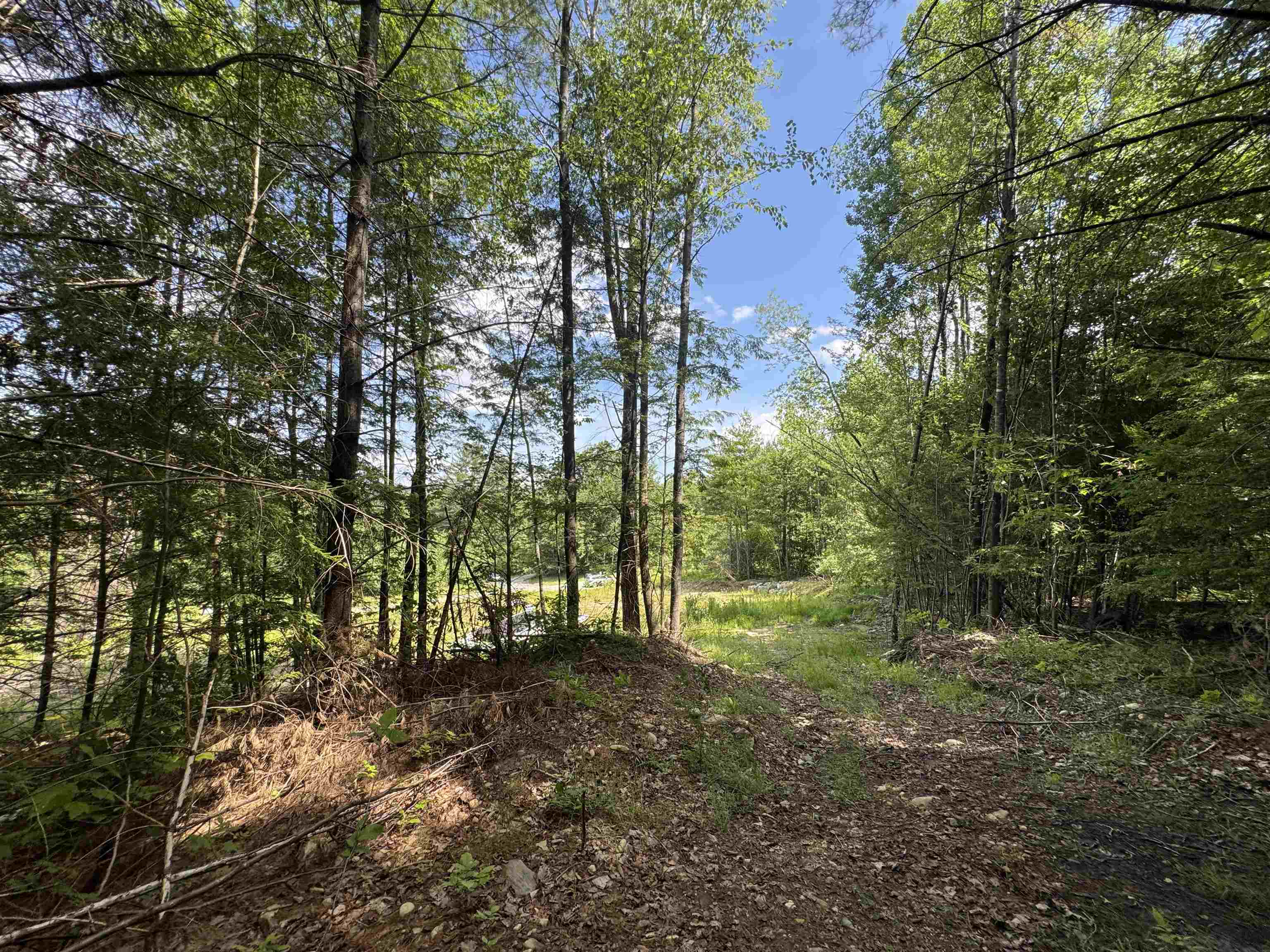 Coming down from the proposed leach field location